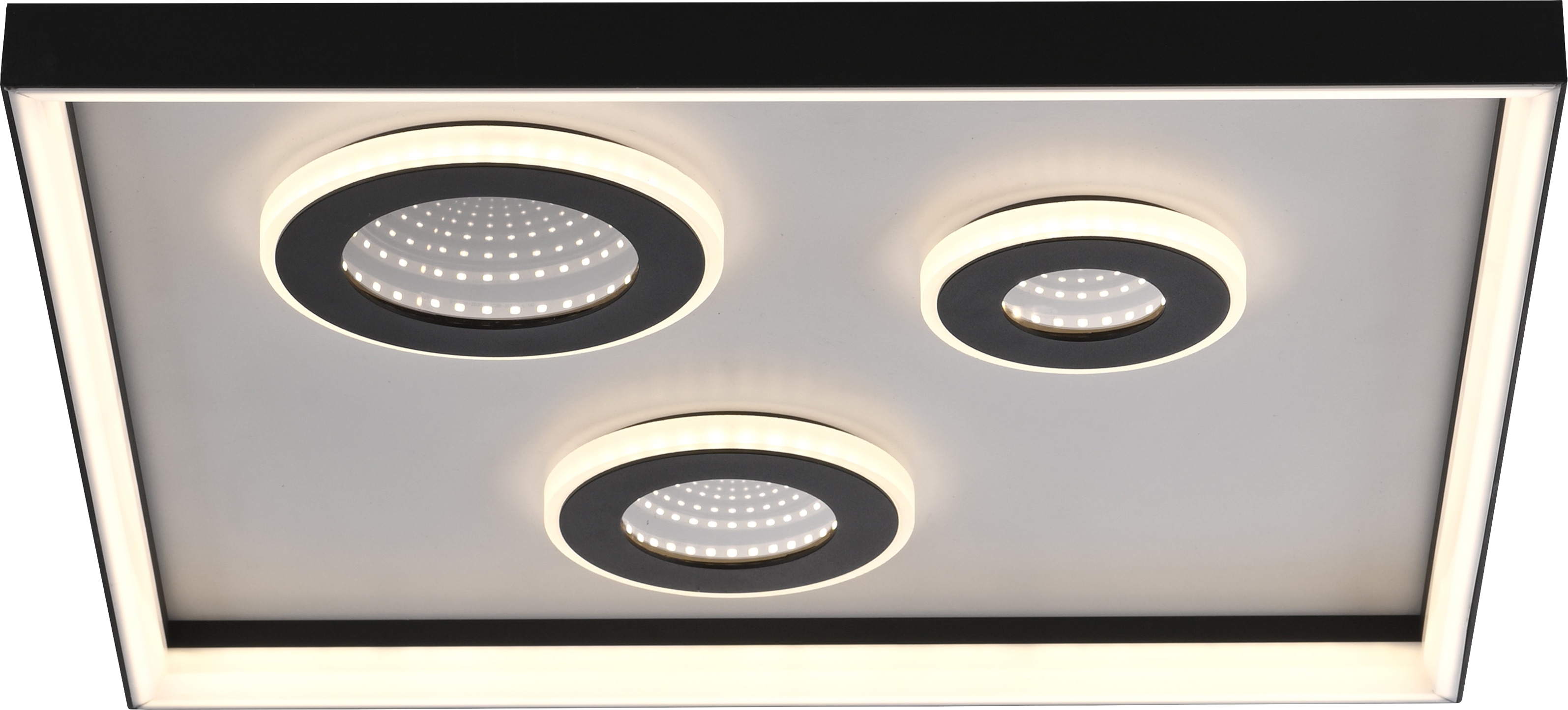 PAUL NEUHAUS LED-Deckenleuchte 6856-18 schwarz, 32 W, 4000 lm, CCT, Fernbedienung PAUL NEUHAUS LED-Deckenleuchte 6856-18 schwarz, 32 W, 4000 lm, CCT, Fernbedienung