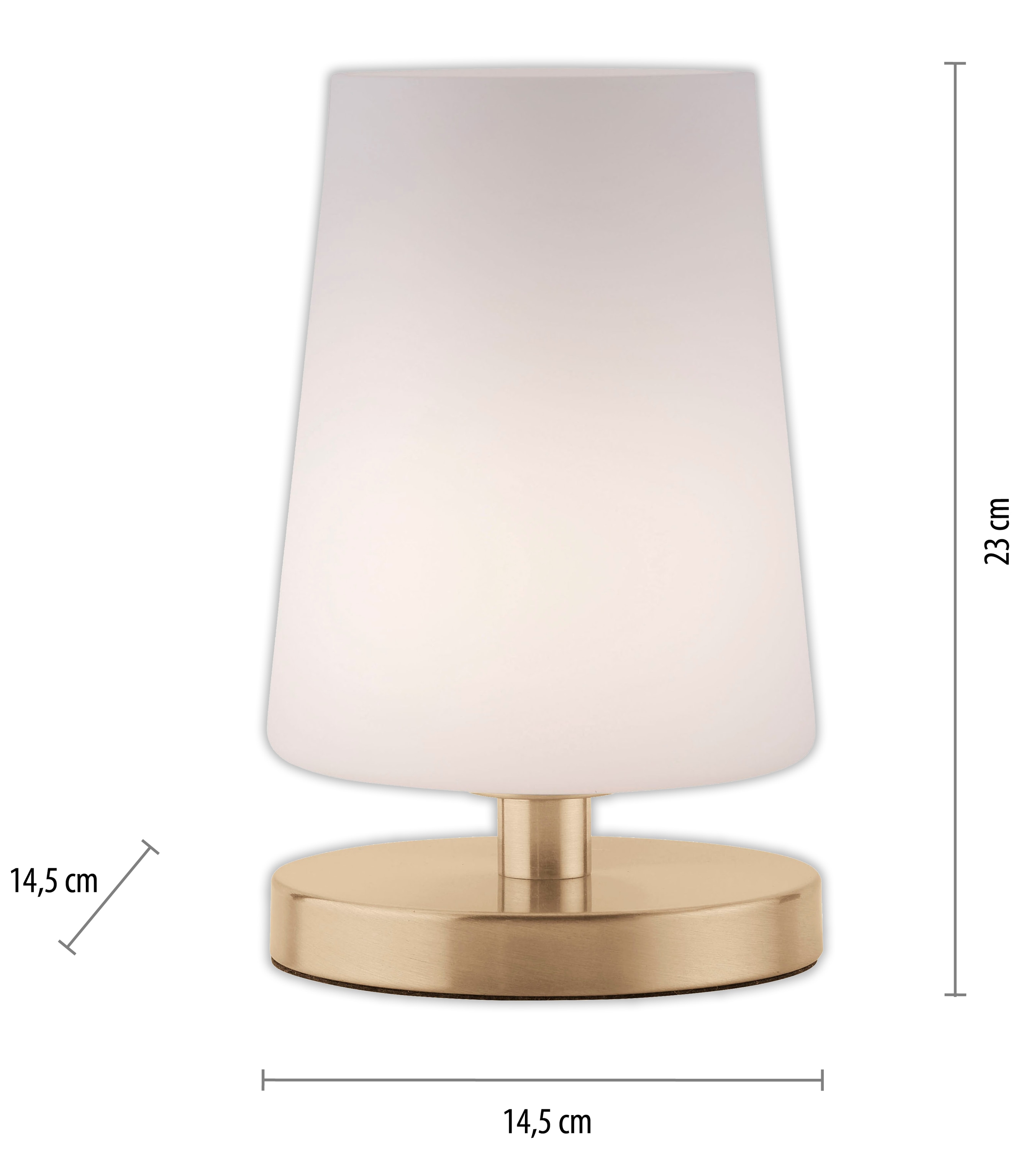 PAUL NEUHAUS LED-Tischleuchte 4146-60 messing-matt, G9, 2,6 W, 265 lm, 3000 K PAUL NEUHAUS LED-Tischleuchte 4146-60 messing-matt, G9, 2,6 W, 265 lm, 3000 K
