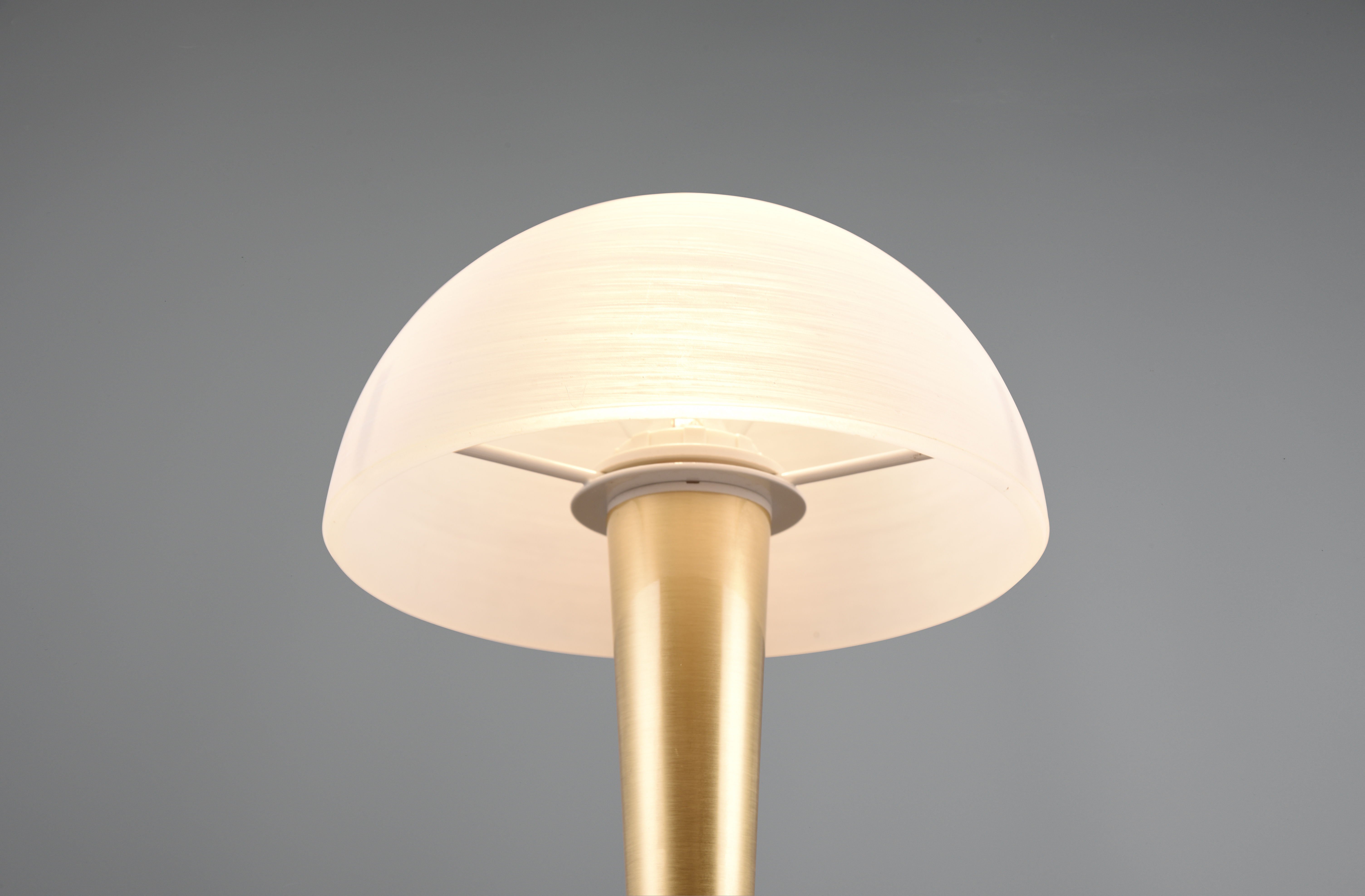 REALITY LED-Tischleuchte Canaria 539869 messing-matt, E14, 4,9 W, 470 lm, 3000 K REALITY LED-Tischleuchte Canaria 539869 messing-matt, E14, 4,9 W, 470 lm, 3000 K