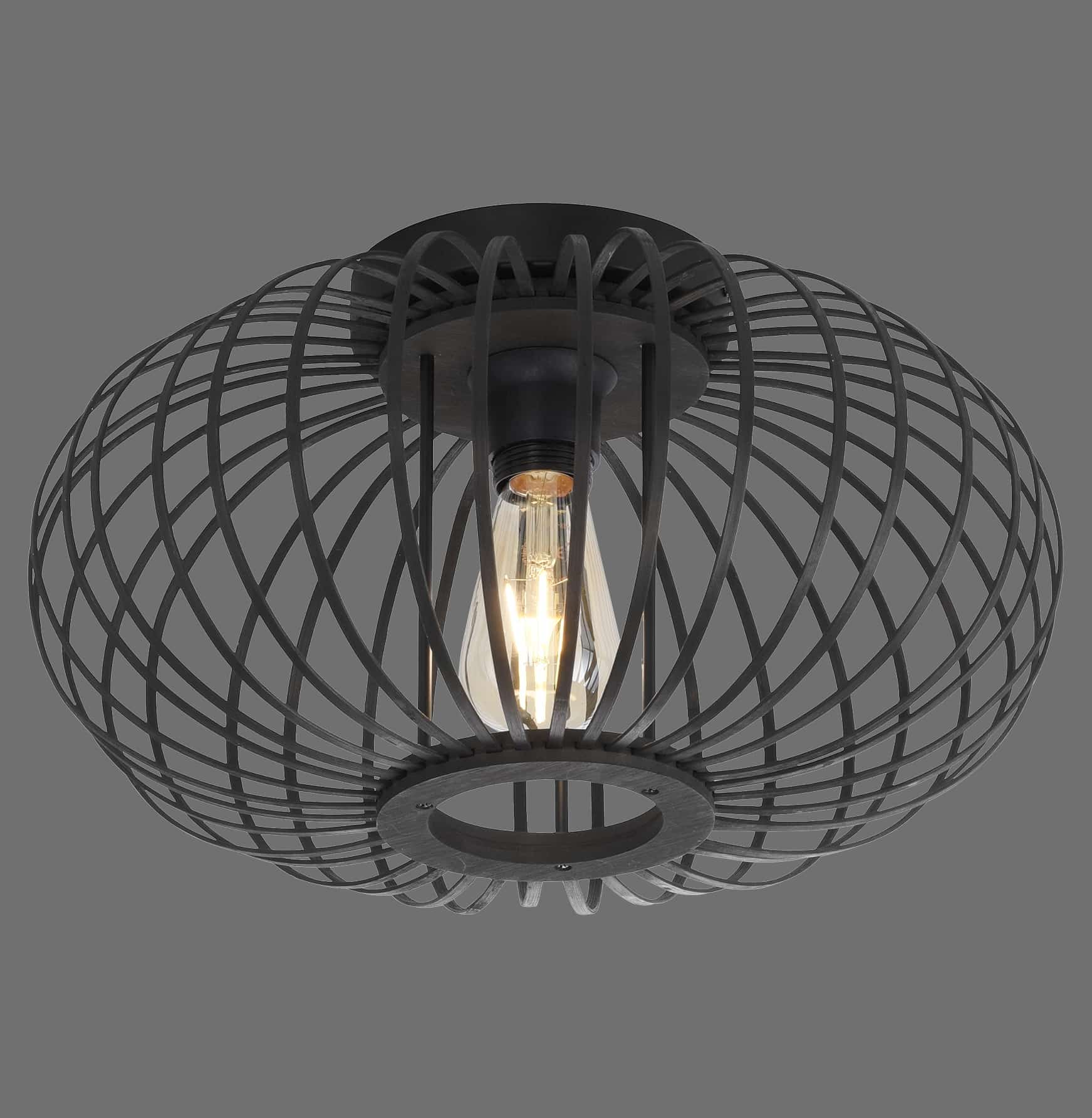 JUST LIGHT Deckenleuchte 11410-18 schwarz, für 1 x E27, max. 40W JUST LIGHT Deckenleuchte 11410-18 schwarz, für 1 x E27, max. 40W