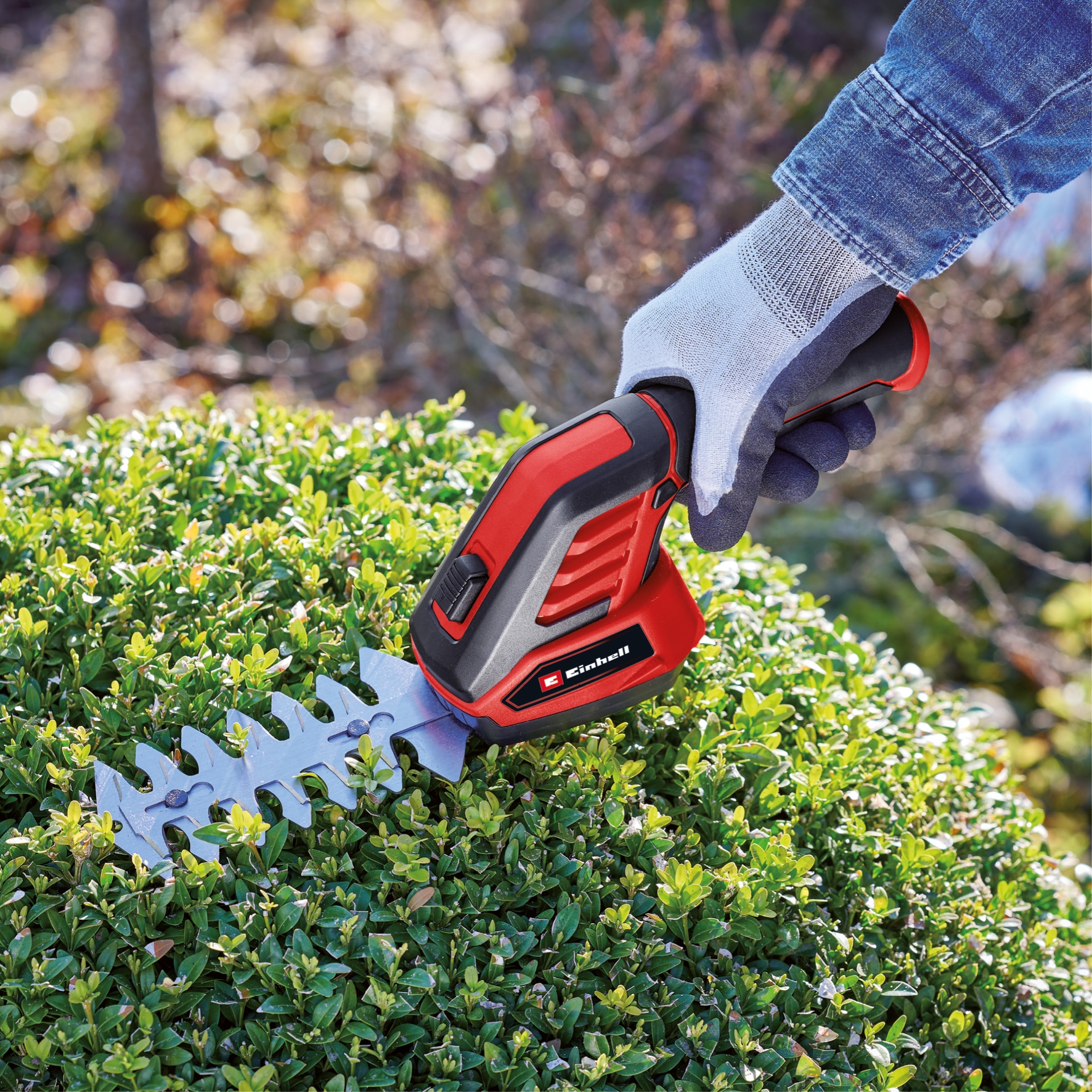 EINHELL Akku-Gras- und Strauchschere GC-CG 3,6/70 Li, mit Teleskopstiel EINHELL Akku-Gras- und Strauchschere GC-CG 3,6/70 Li, mit Teleskopstiel