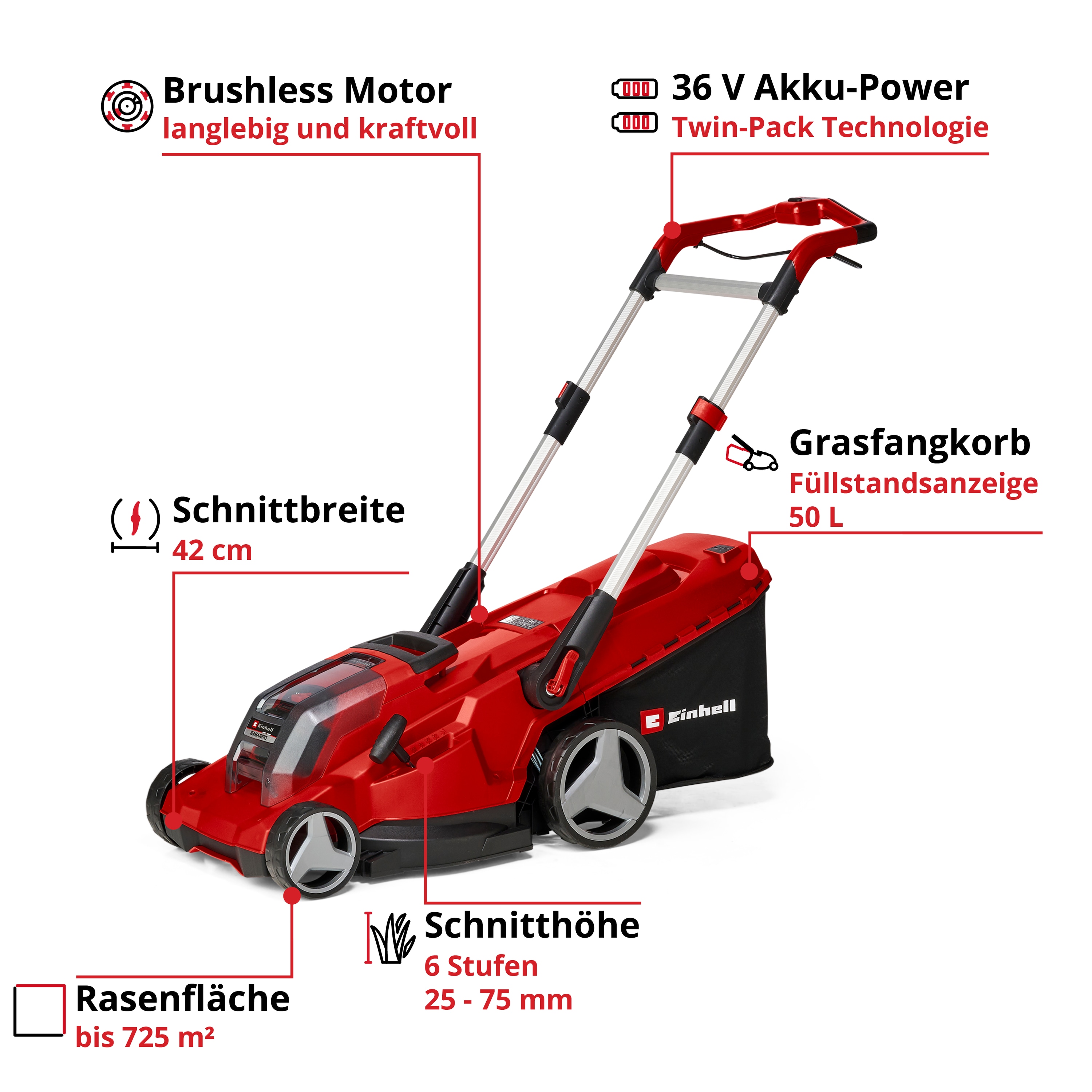 EINHELL PROFESSIONAL Akku-Rasenmäher RASARRO 36/42, 2x5,2 Ah Akkus + Twin-Ladegerät EINHELL Akku-Rasenmäher RASARRO 36/42, 2x5,2 Ah Akkus + Twin-Ladegerät