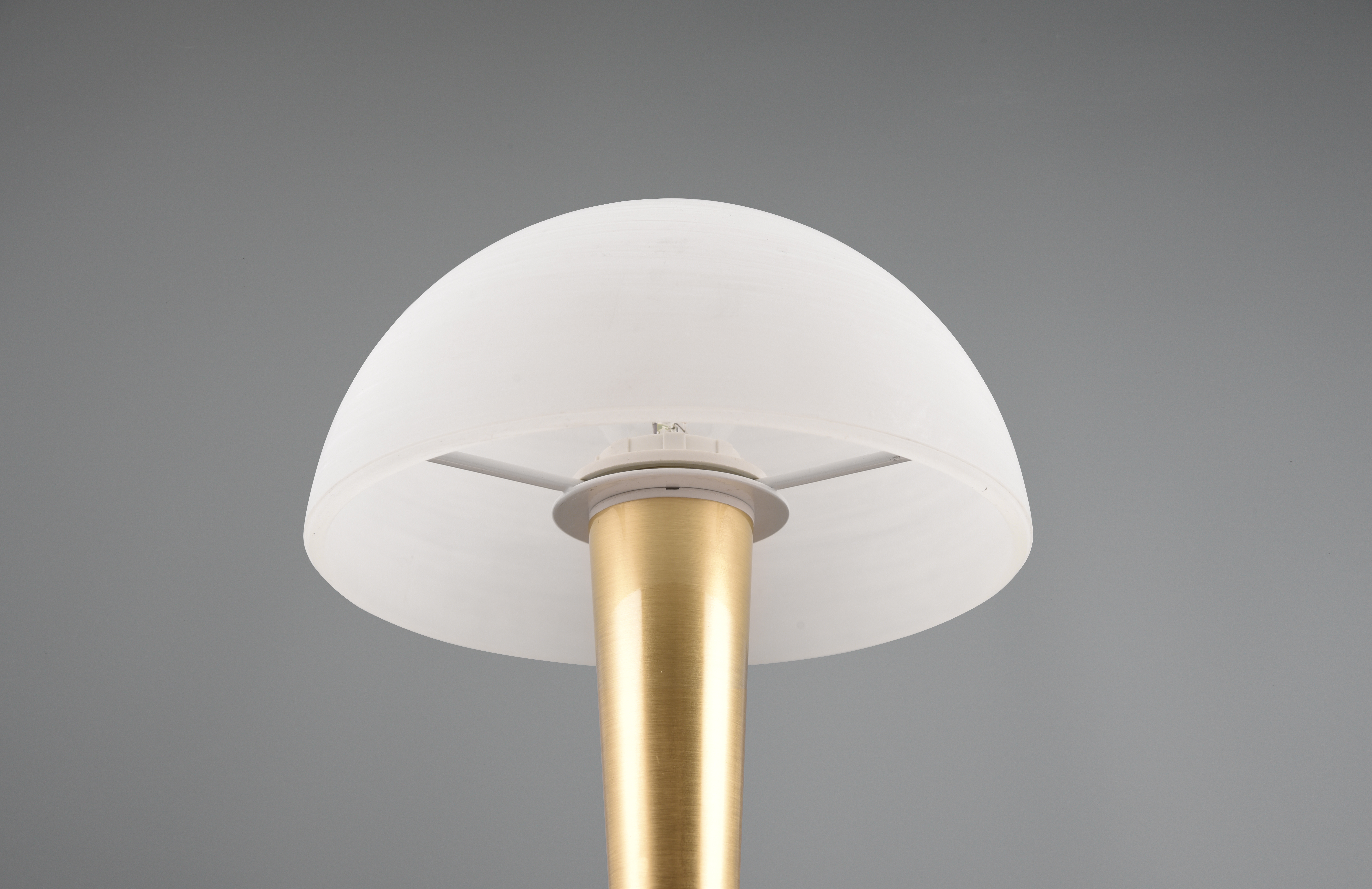 REALITY LED-Tischleuchte Canaria 539869 messing-matt, E14, 4,9 W, 470 lm, 3000 K REALITY LED-Tischleuchte Canaria 539869 messing-matt, E14, 4,9 W, 470 lm, 3000 K