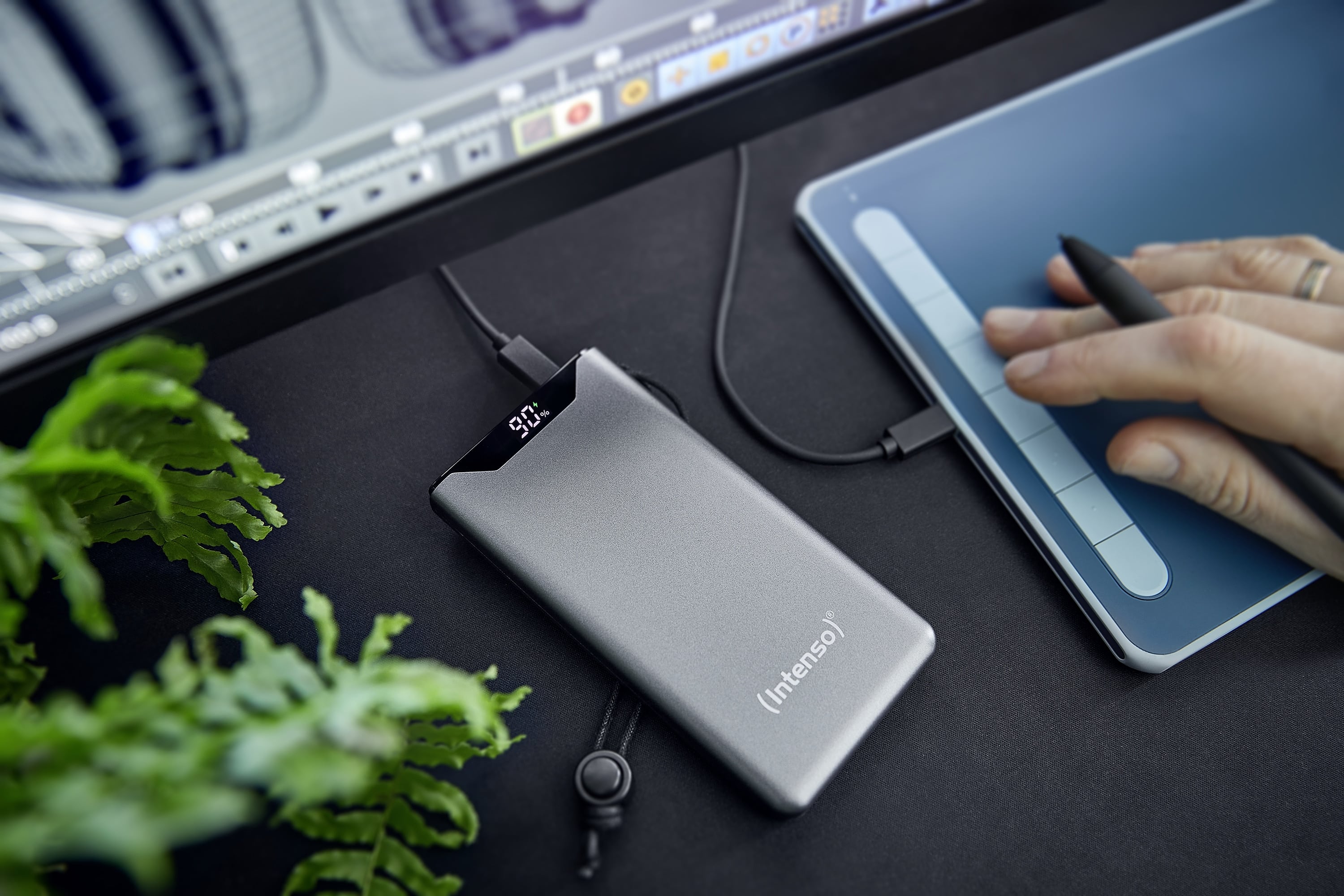 INTENSO USB Powerbank 7332034, F10000, 10.000mAh, 20 W, grau INTENSO USB Powerbank 7332034, F10000, 10.000mAh, 20 W, grau