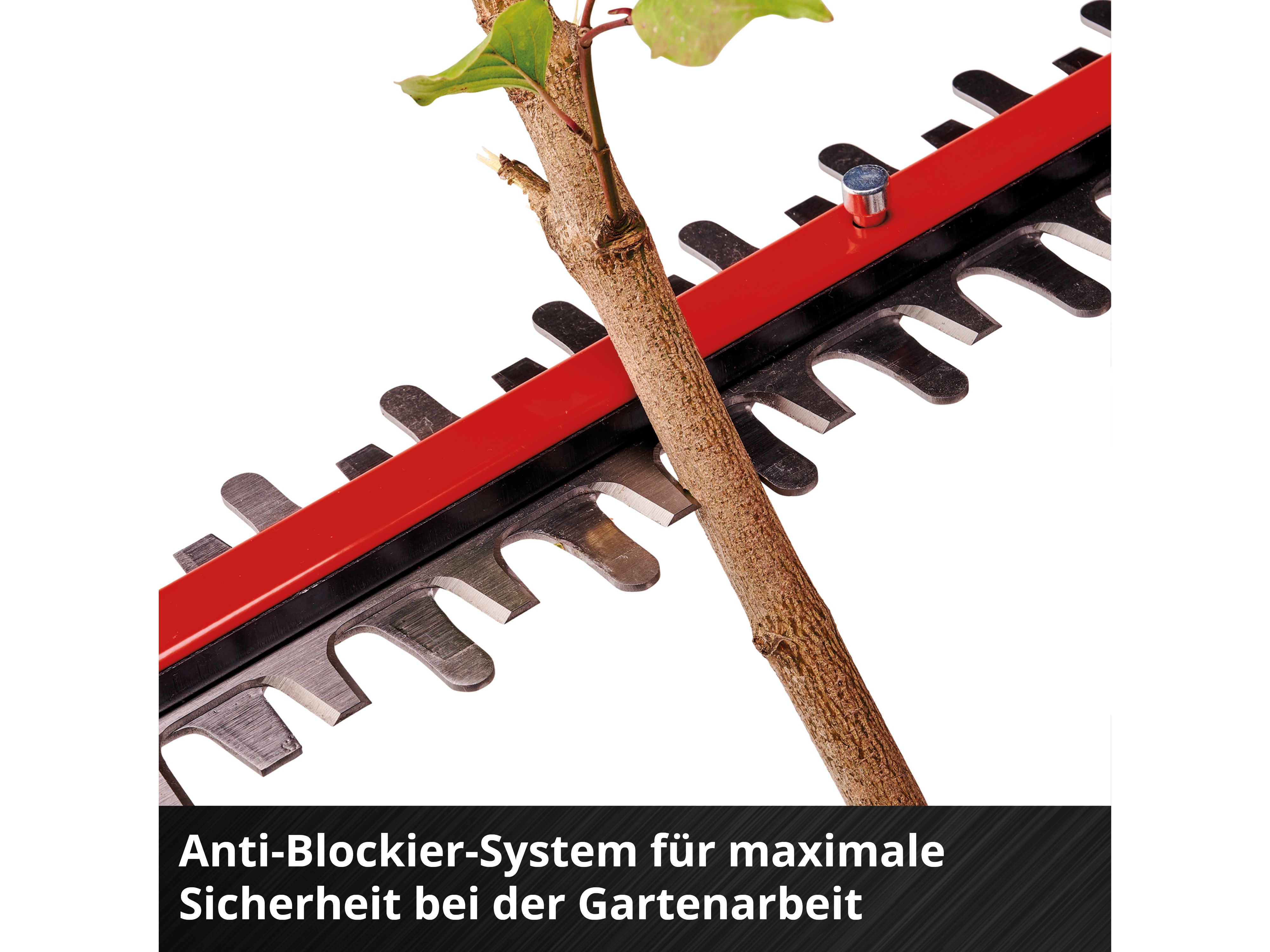 EINHELL PROFESSIONAL Akku-Heckenschere GP-CH 18/50 Li BL, 3410950, Solo