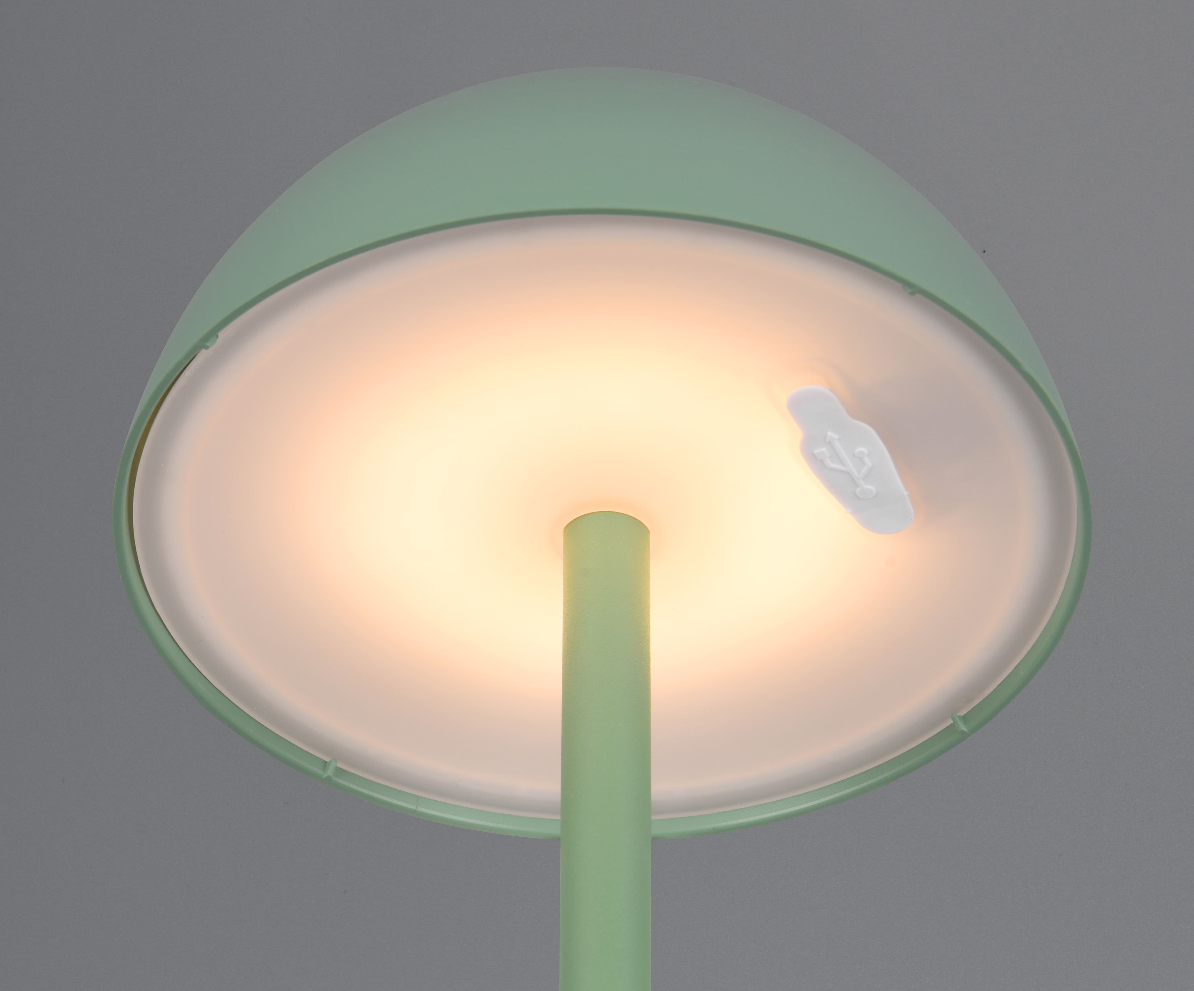 REALITY LED-Akku-Tischleuchte Ricardo R54106149 grün, IP54, 1,7 W, 240 lm, 3000 K REALITY LED-Akku-Tischleuchte Ricardo R54106149 grün, IP54, 1,7 W, 240 lm, 3000 K