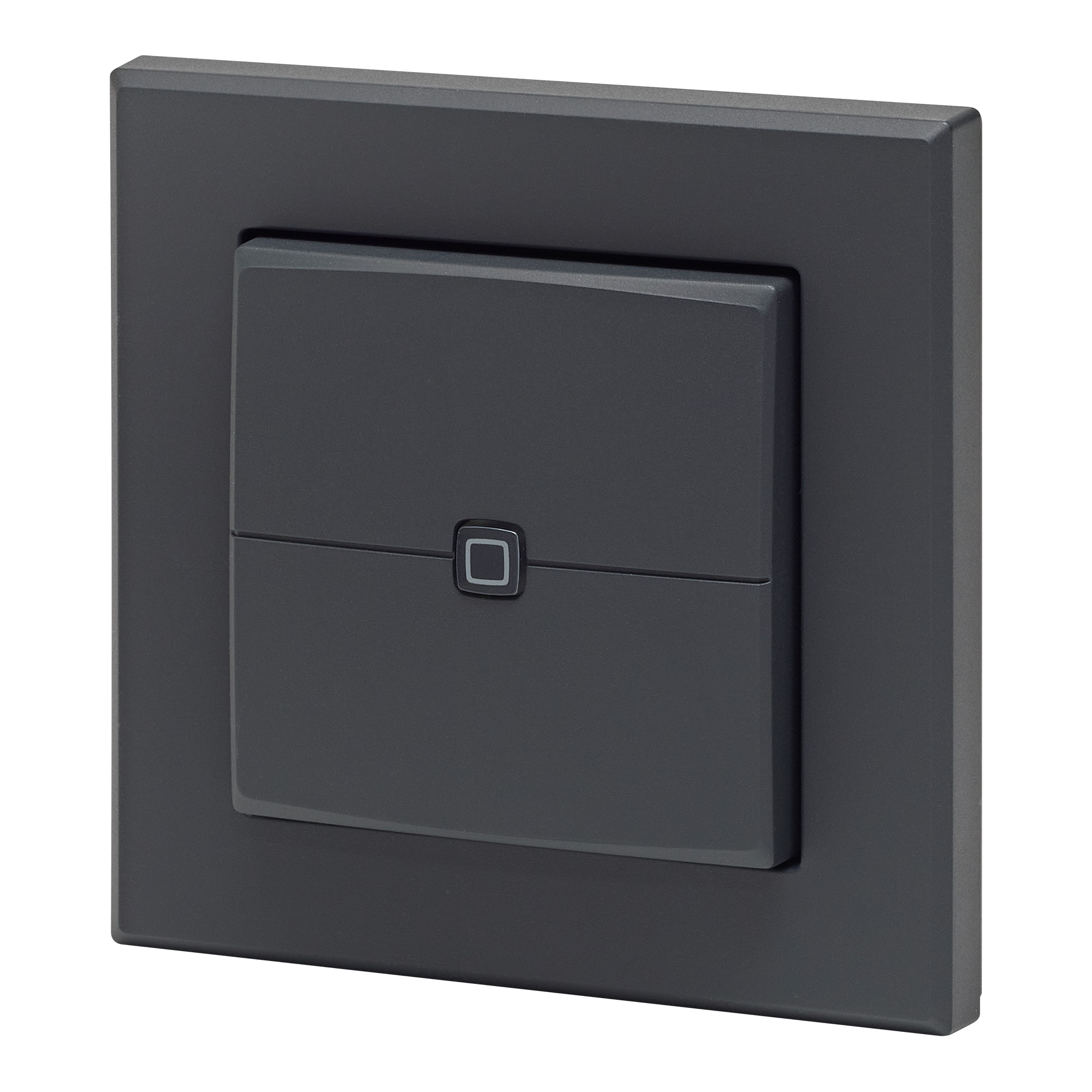HOMEMATIC IP 161869A0 Wandtaster 2-fach anthrazit HOMEMATIC IP 161869A0 Wandtaster 2-fach anthrazit