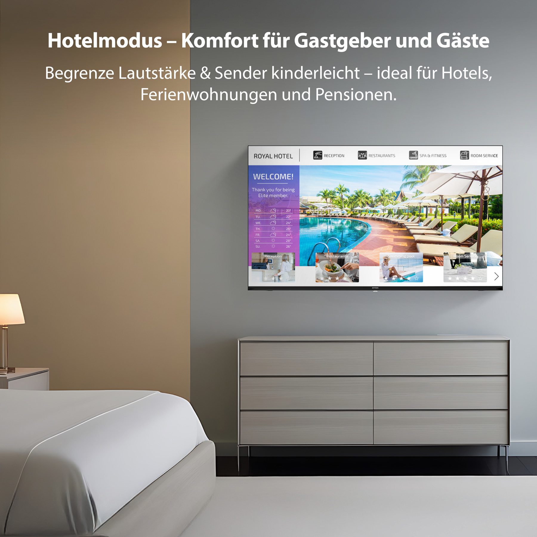 DYON LED-TV Enter 24 Pro-X-V, 24" (60 cm), HD, 12 V Anschlusskabel DYON LED-TV Enter 24 Pro-X-V, 24" (60 cm), HD, 12 V Anschlusskabel
