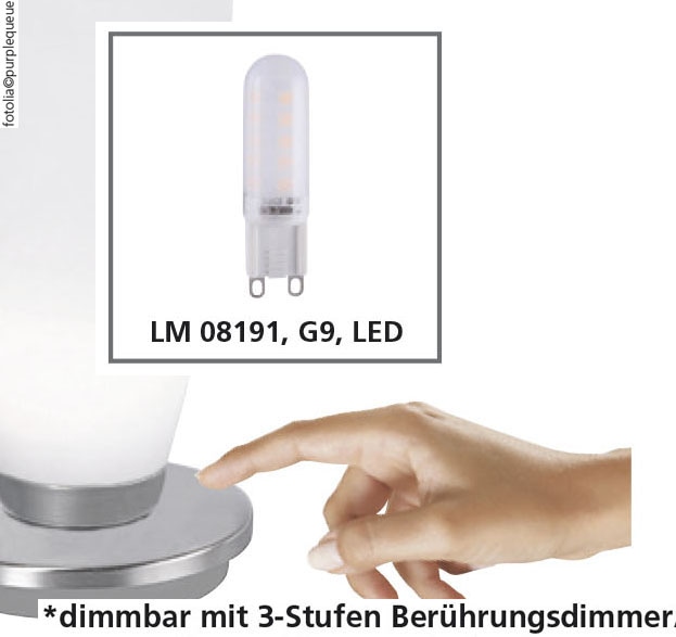PAUL NEUHAUS LED-Tischleuchte 4013-55 stahl, G9, 3 W, 235 lm, 3000 K PAUL NEUHAUS LED-Tischleuchte 4013-55 stahl, G9, 3 W, 235 lm, 3000 K