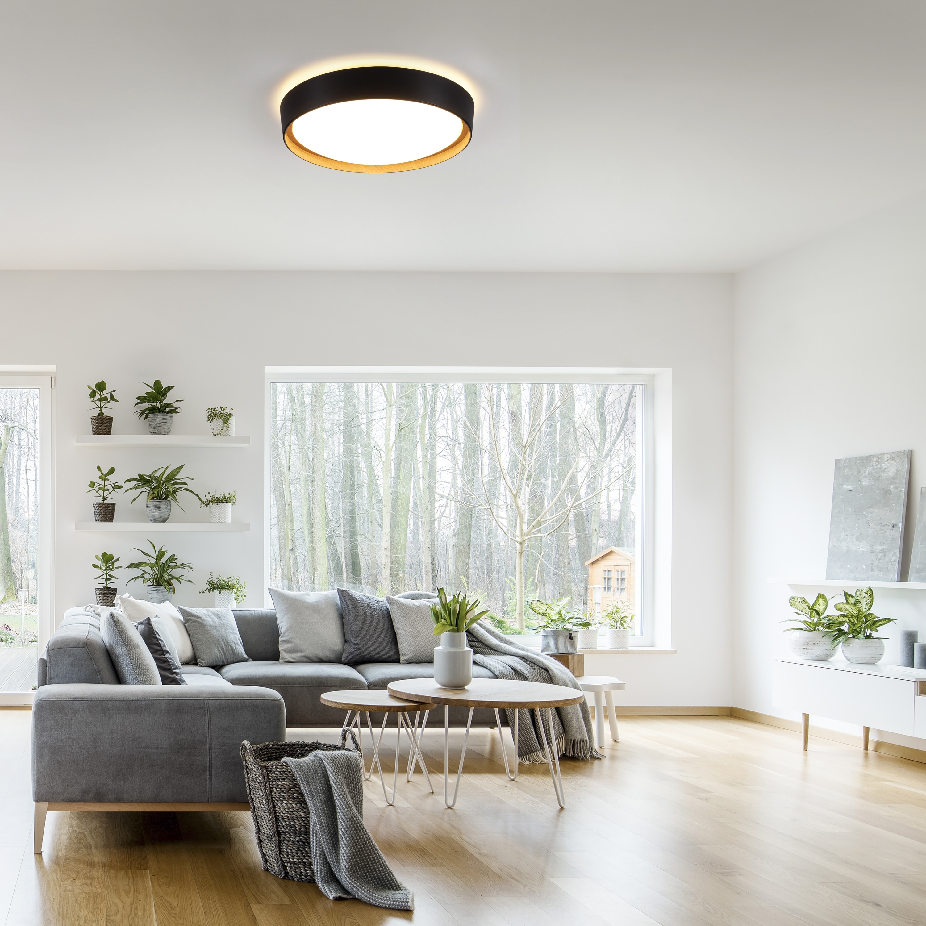 JUST LIGHT LED-Deckenleuchte 14347-18 schwarz, 29 W, 3400 lm, 3000 K JUST LIGHT LED-Deckenleuchte 14347-18 schwarz, 29 W, 3400 lm, 3000 K