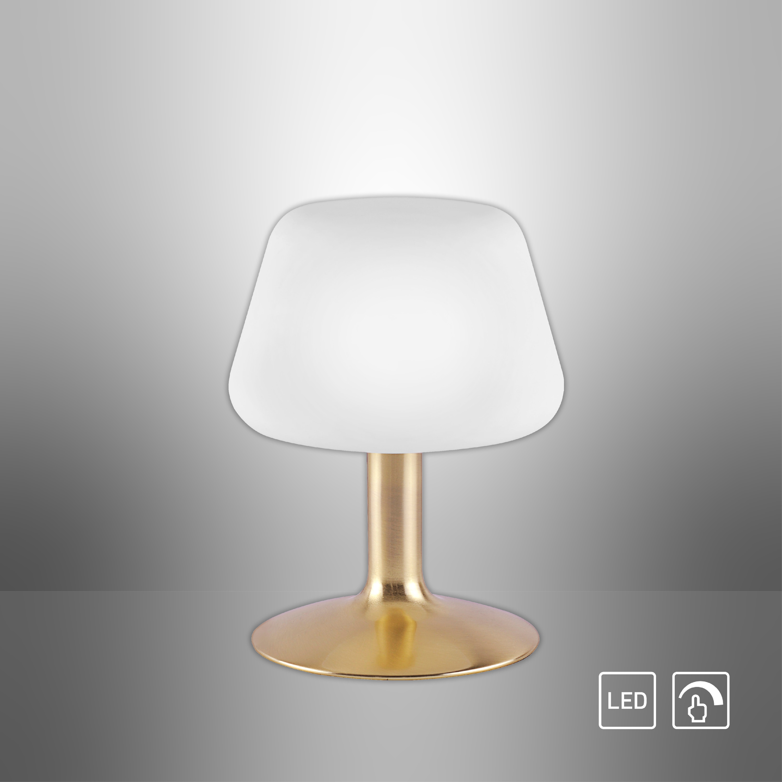 PAUL NEUHAUS LED-Tischleuchte 4078-60 messing-matt, 2,6 W, 265 lm, 3000 K