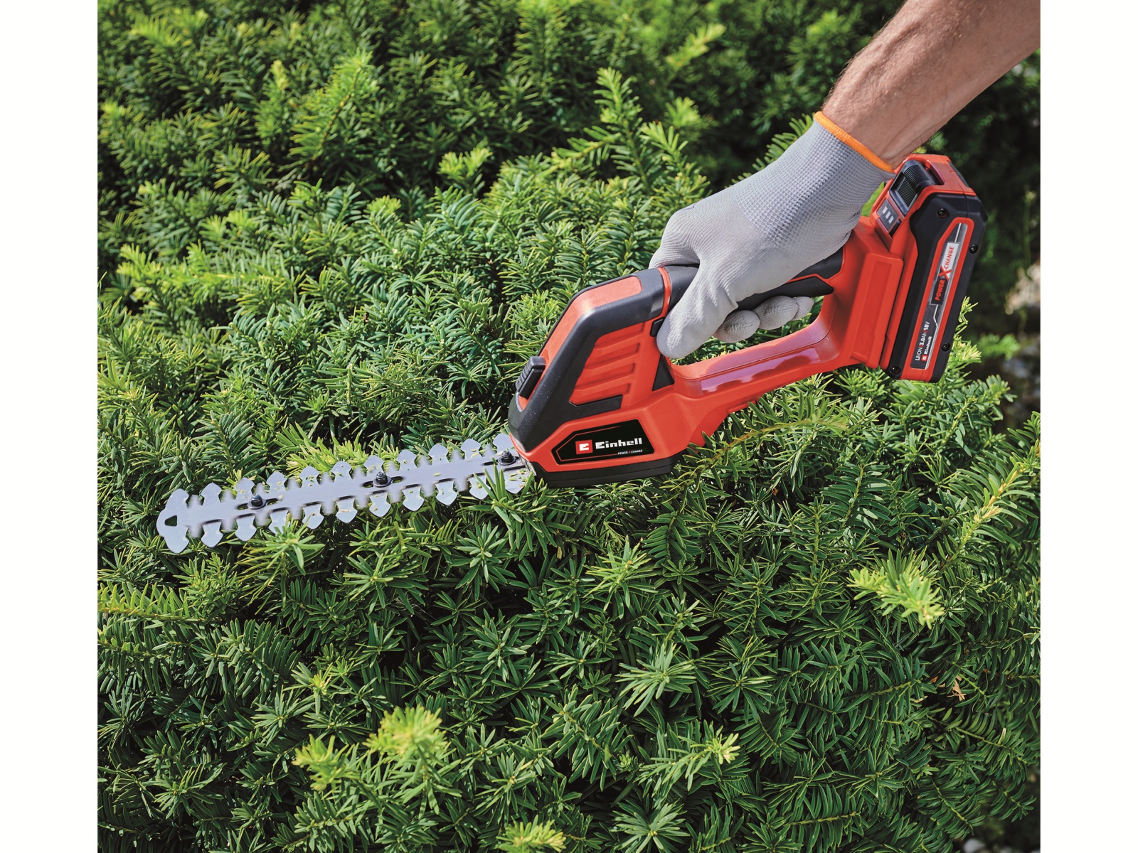 EINHELL Akku-Gras- und Strauchschere GE-CG 18/100 Li T + Starterset