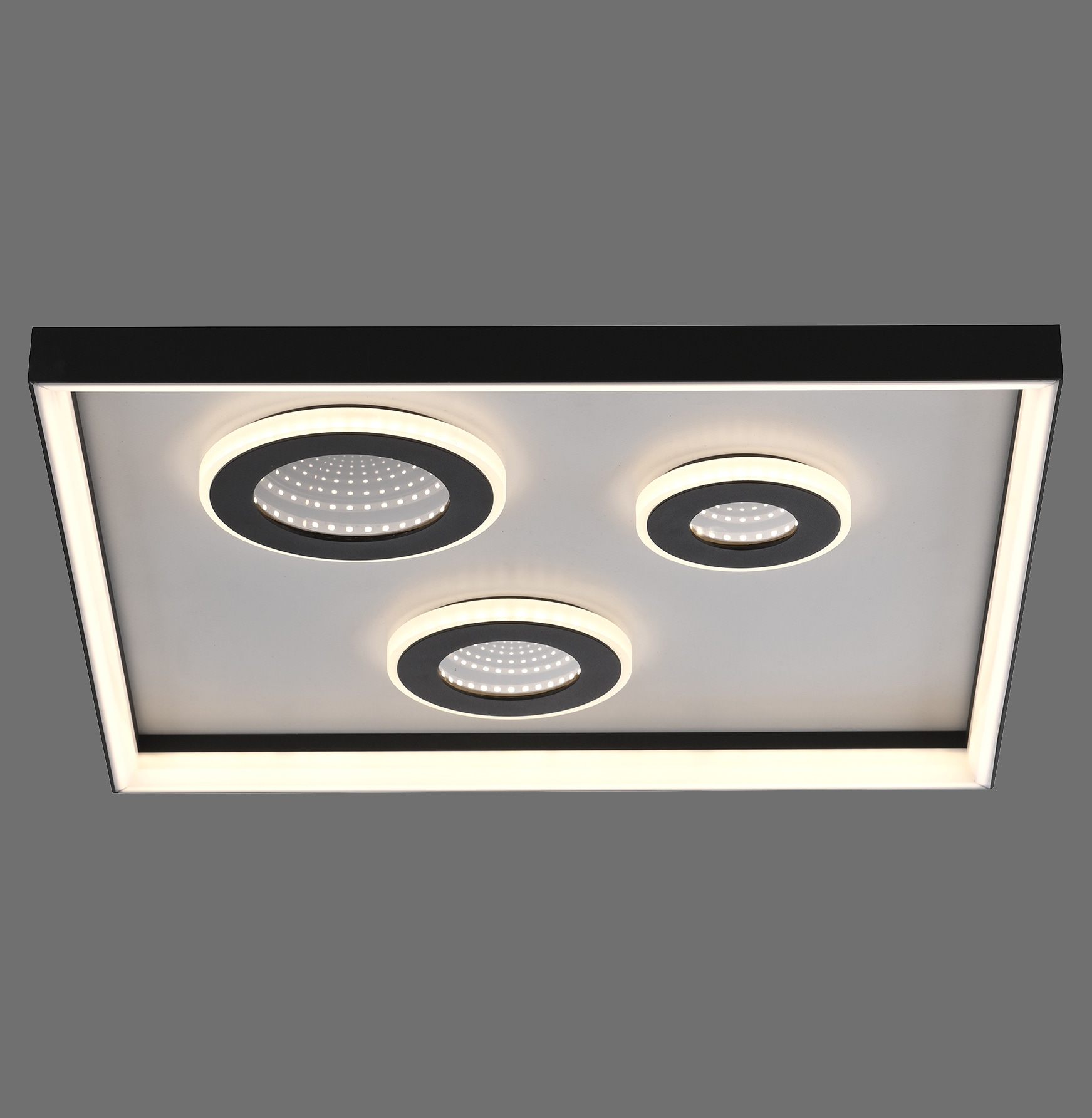 PAUL NEUHAUS LED-Deckenleuchte 6856-18 schwarz, 32 W, 4000 lm, CCT, Fernbedienung PAUL NEUHAUS LED-Deckenleuchte 6856-18 schwarz, 32 W, 4000 lm, CCT, Fernbedienung