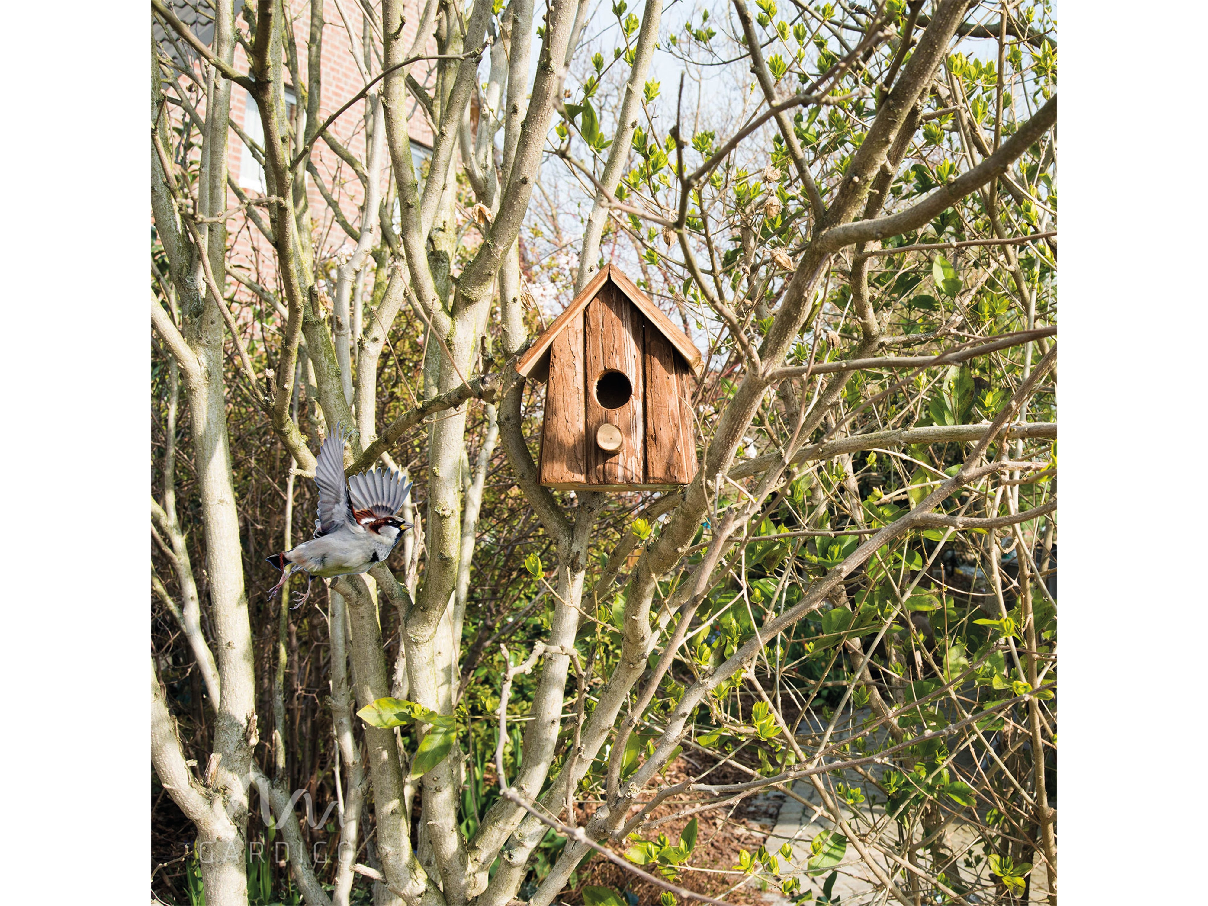 GARDIGO Vogelhaus Natur, FSC
