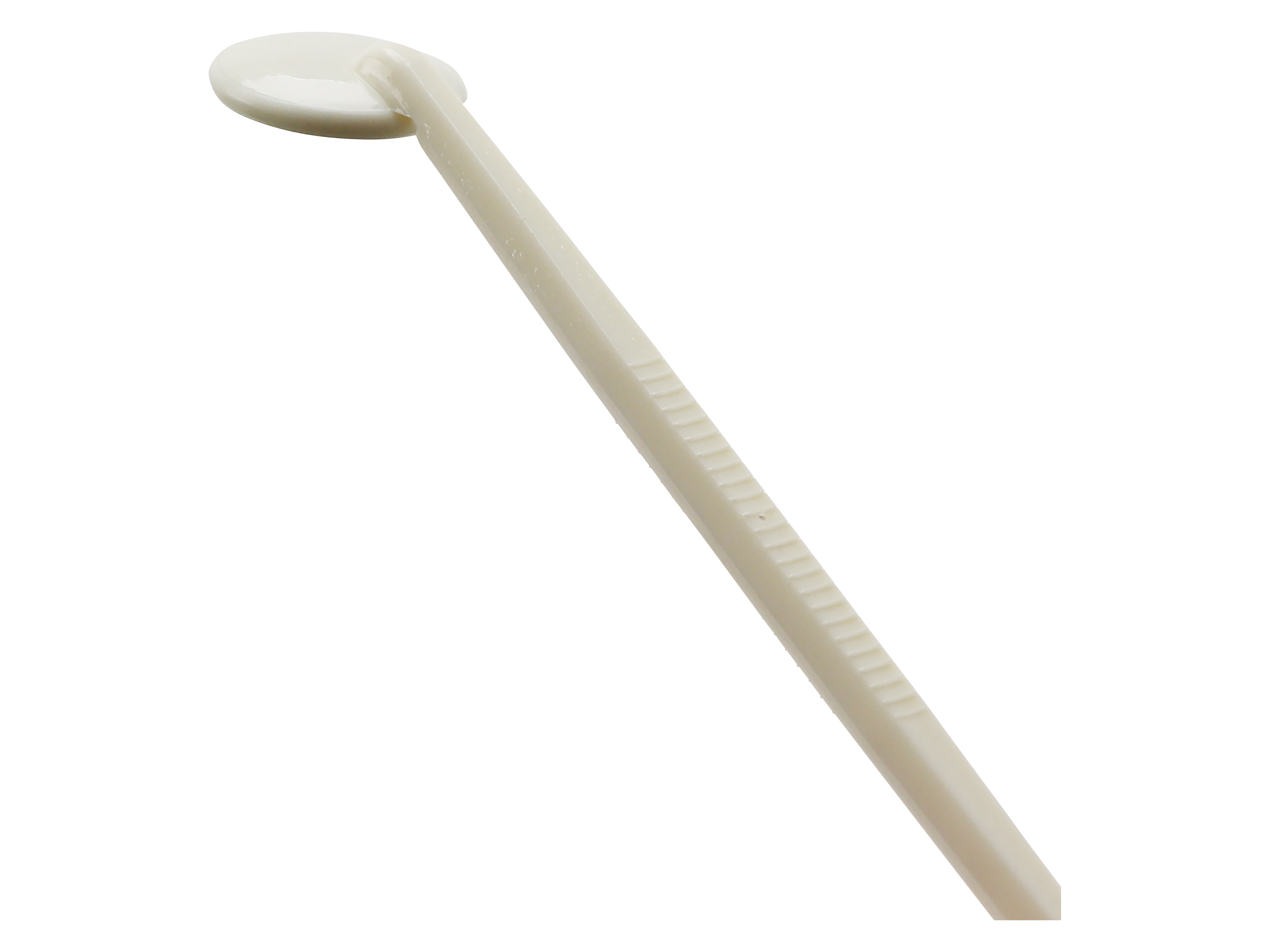 Spiegel, gebogen, Ø 24 mm, mit Spatel Spiegel, gebogen, Ø 24 mm, mit Spatel