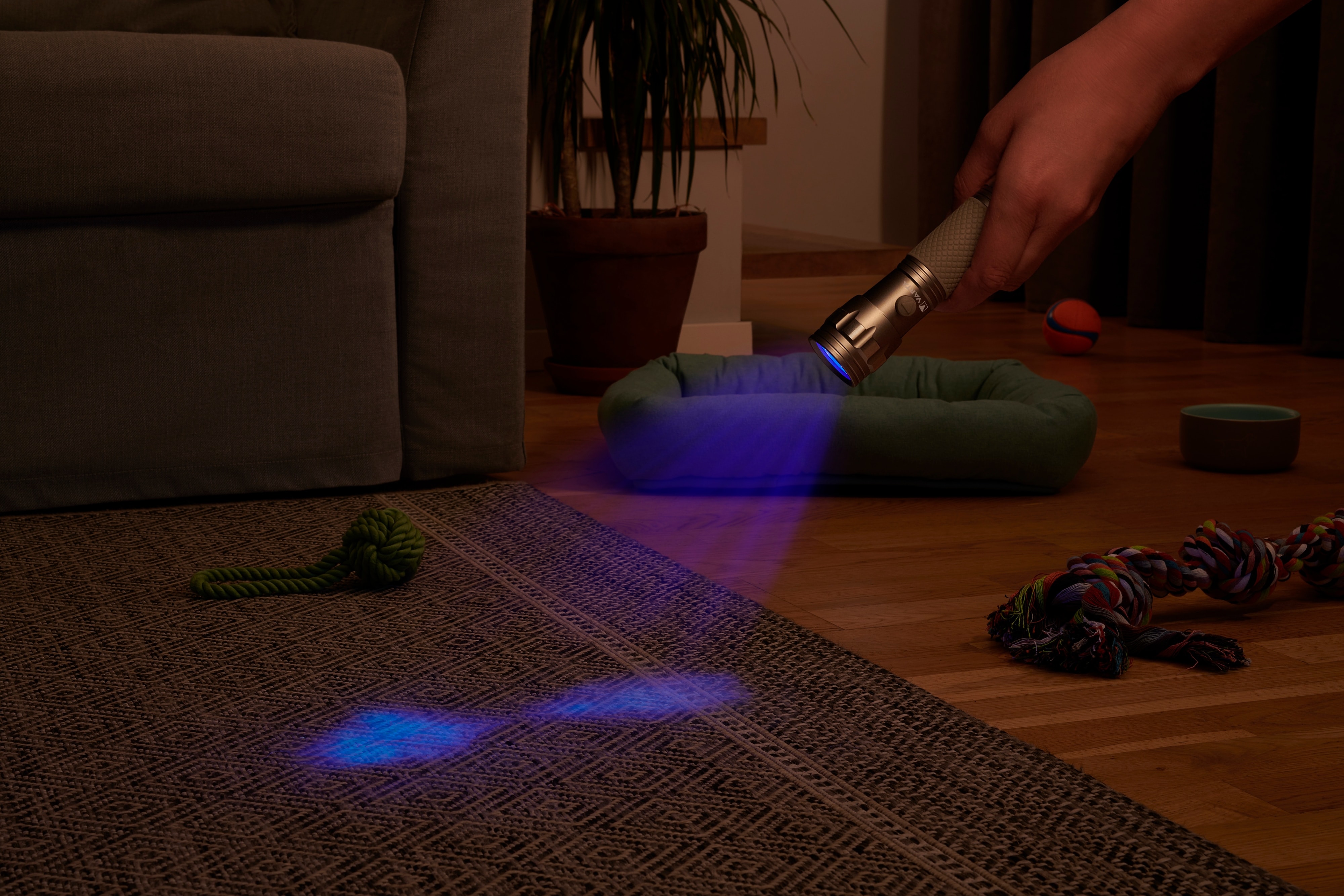 VARTA LED-Taschenlampe UV-Light, 385...400nm, Batteriebetrieb VARTA LED-Taschenlampe UV-Light, 385...400nm, Batteriebetrieb