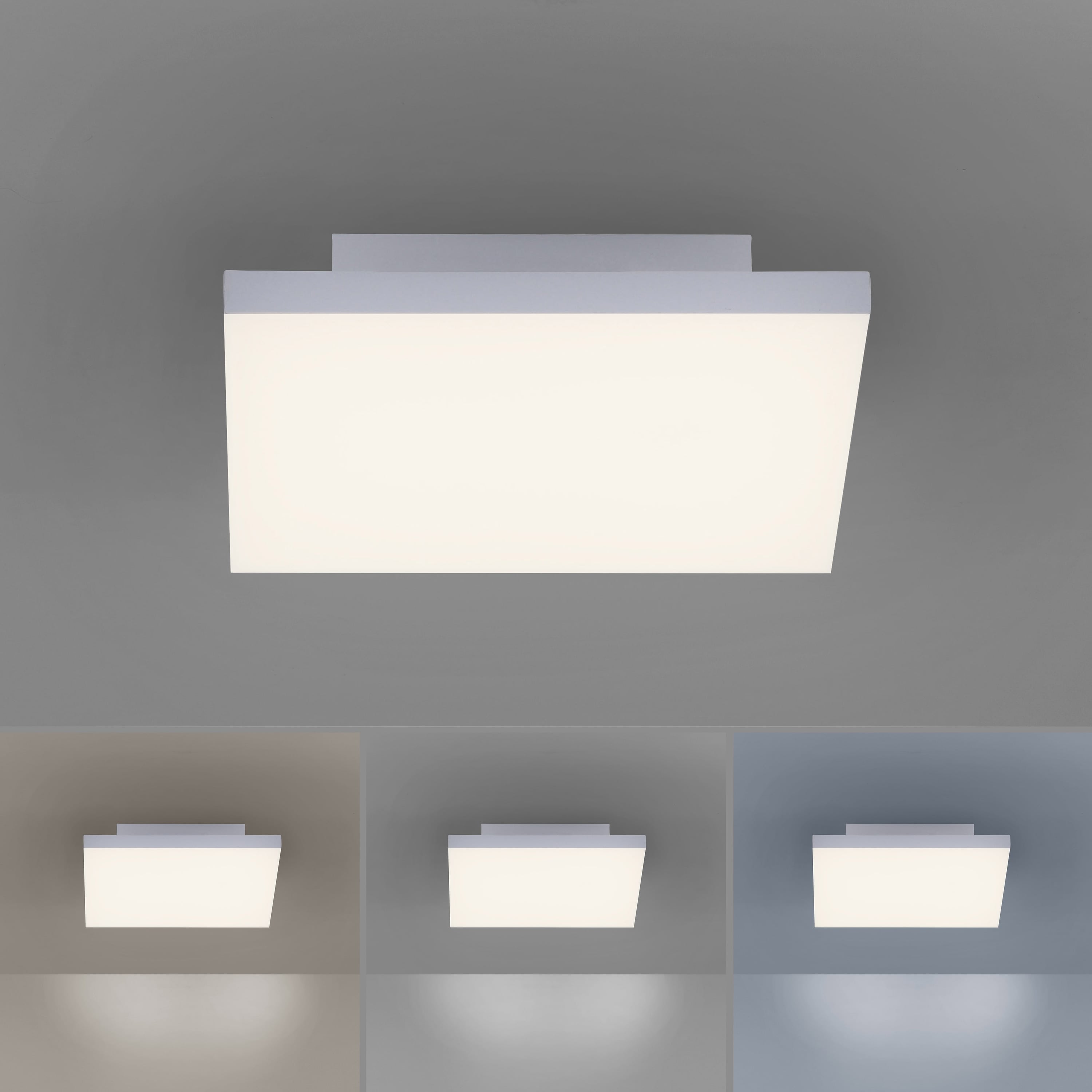 PAUL NEUHAUS LED-Deckenleuchte 8490-16 weiß, 17 W, 2200 lm, CCT PAUL NEUHAUS LED-Deckenleuchte 8490-16 weiß, 17 W, 2200 lm, CCT