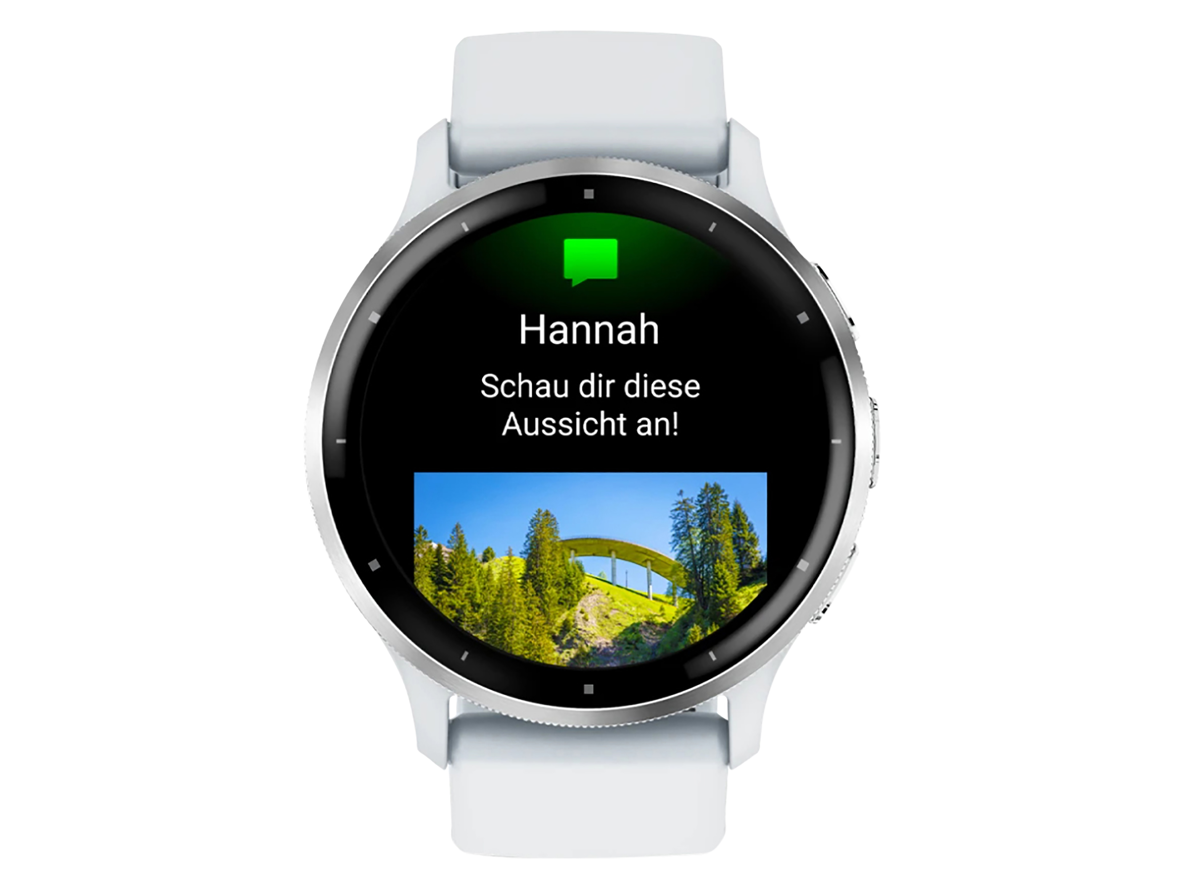 GARMIN Smartwatch Venu 3 steinweiss/silber Silikon GARMIN Smartwatch Venu 3 steinweiss/silber Silikon