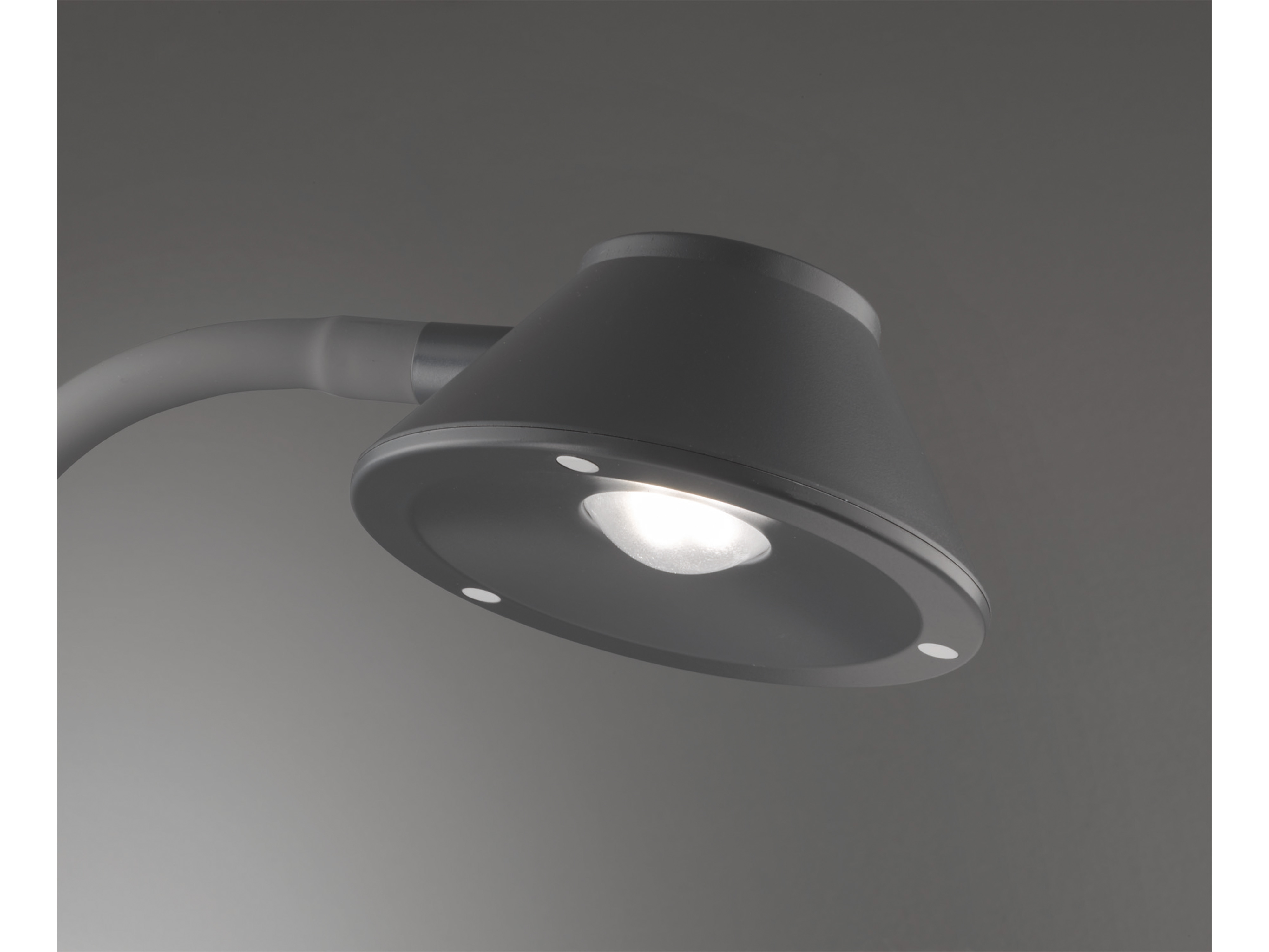 REALITY LED-Tischleuchte Berry R52191187 titanfarbig, 3,2 W, 350 lm, 3000 K REALITY LED-Tischleuchte Berry R52191187 titanfarbig, 3,2 W, 350 lm, 3000 K