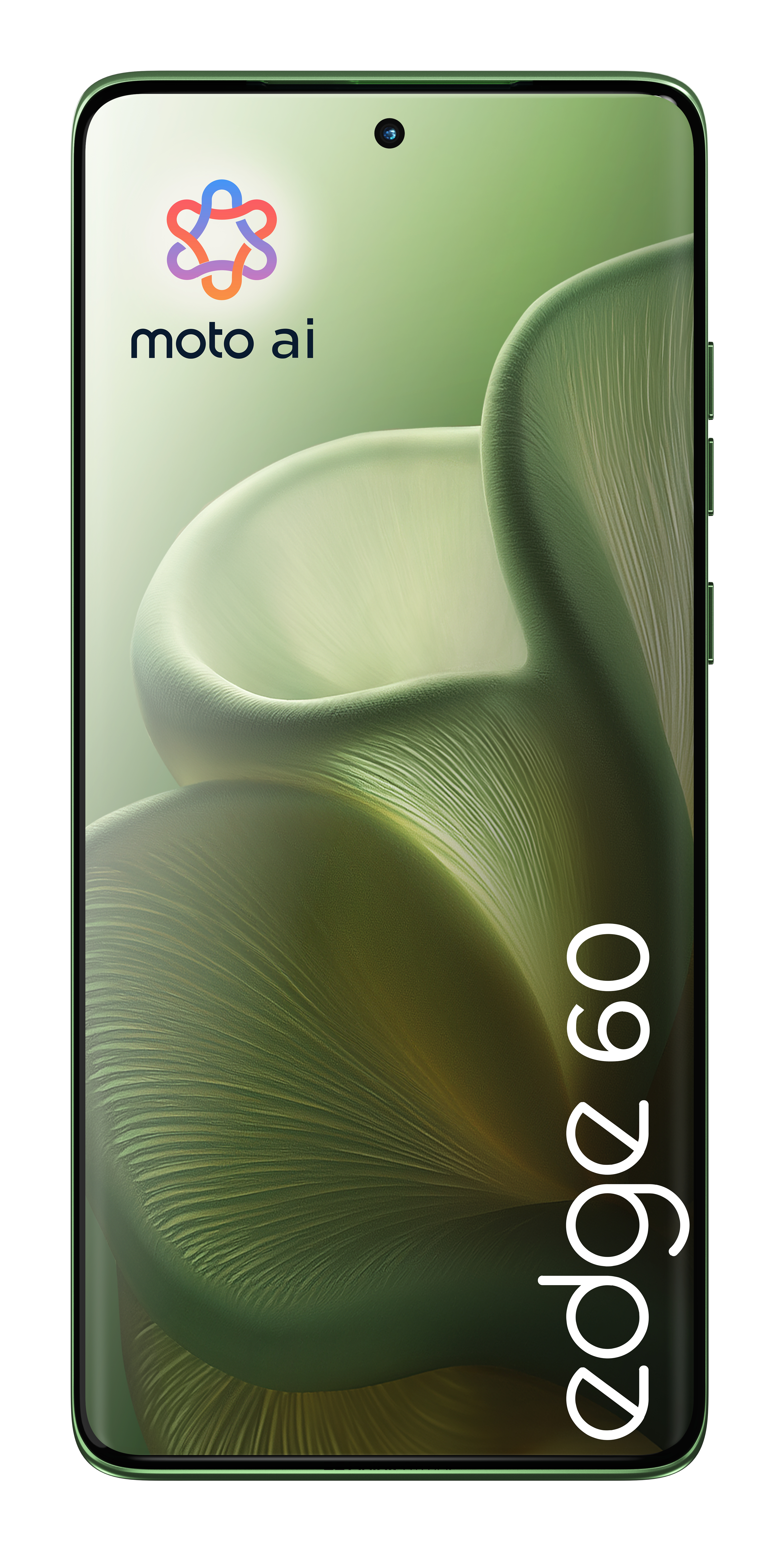 MOTOROLA GSM Smartphone Edge 60 5G 512GB shamrock MOTOROLA Smartphone Edge 60 5G 512GB shamrock