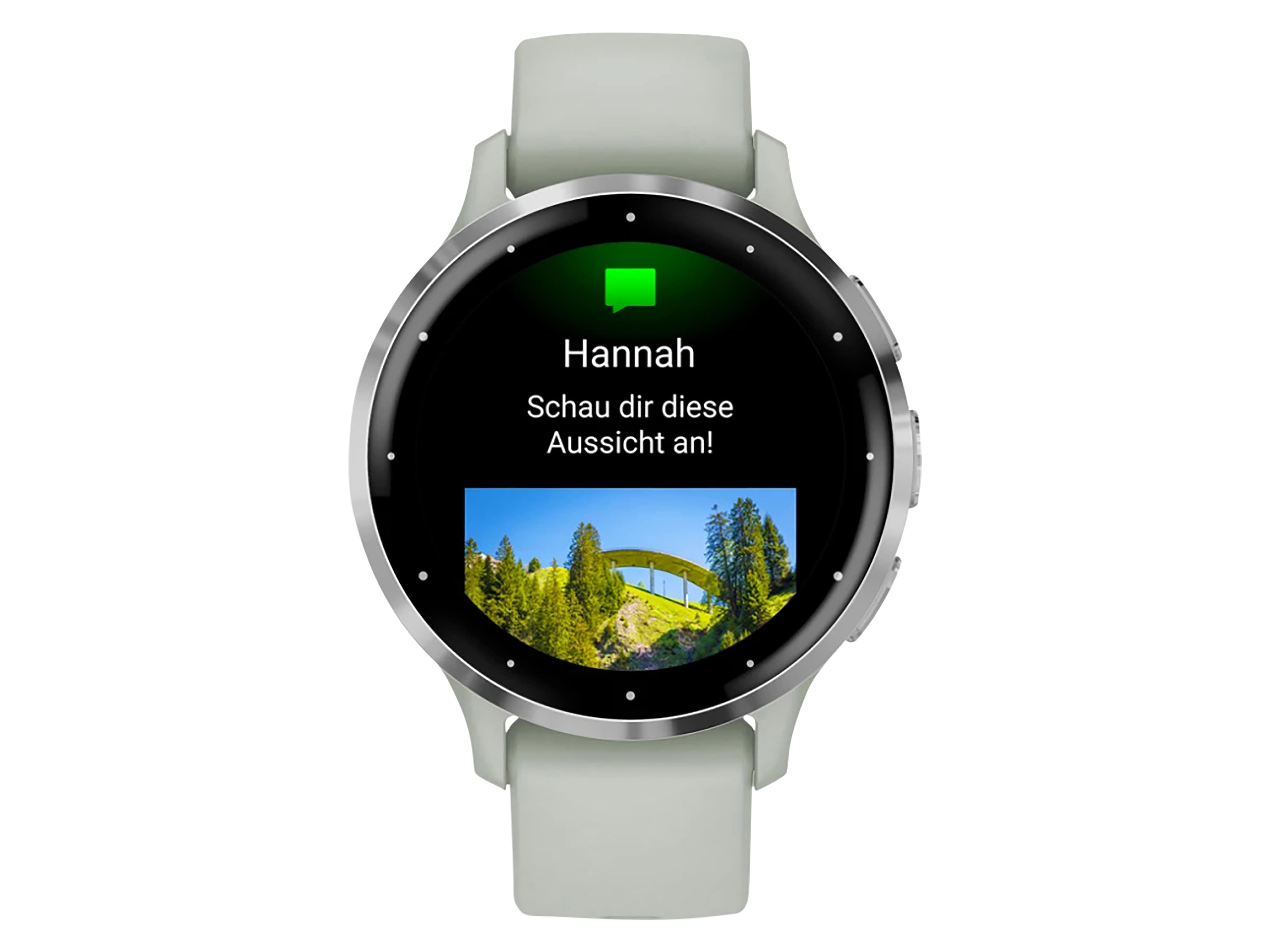 GARMIN Smartwatch Venu 3S salbeigrau/silber Silikon GARMIN Smartwatch Venu 3S salbeigrau/silber Silikon