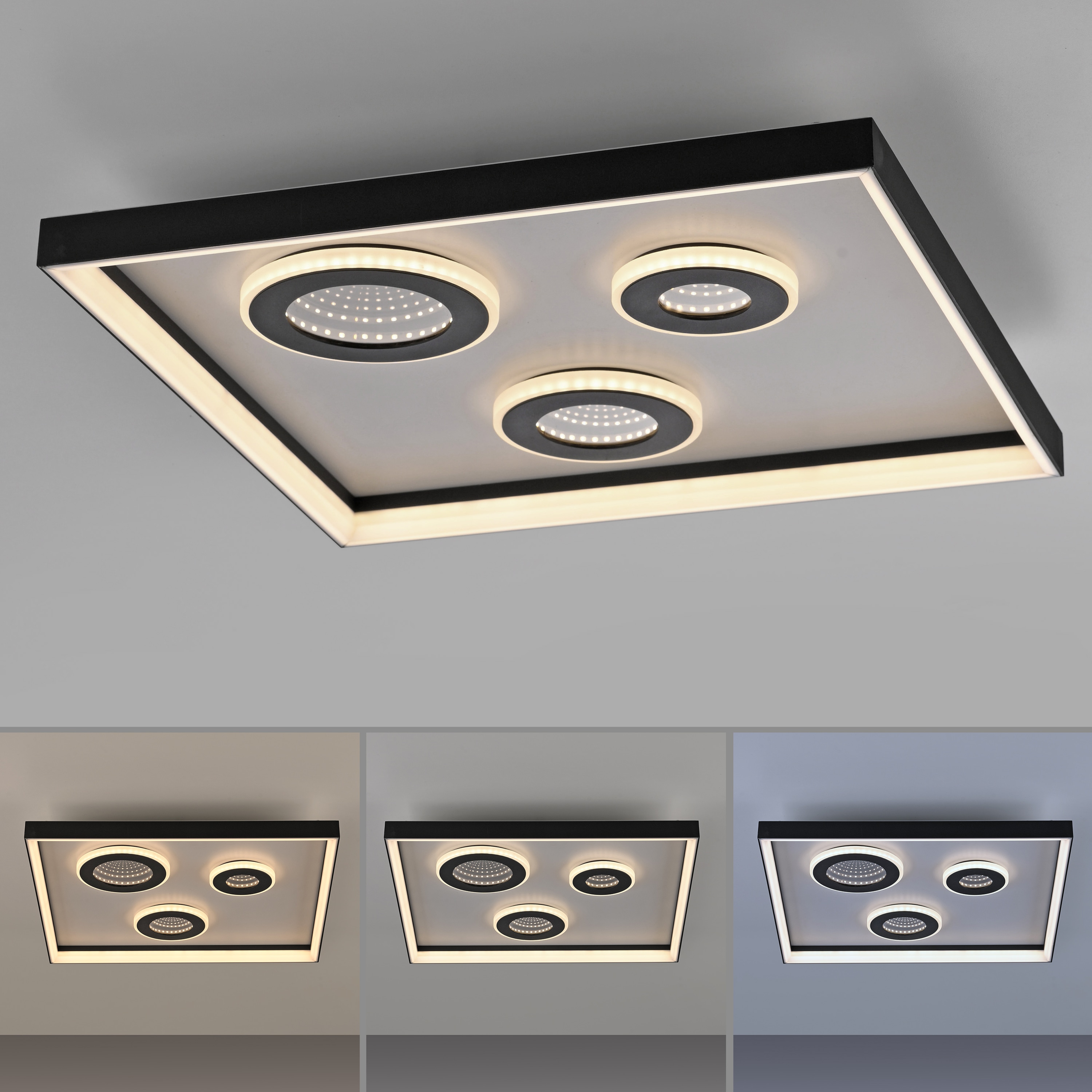 PAUL NEUHAUS LED-Deckenleuchte 6856-18 schwarz, 32 W, 4000 lm, CCT, Fernbedienung PAUL NEUHAUS LED-Deckenleuchte 6856-18 schwarz, 32 W, 4000 lm, CCT, Fernbedienung