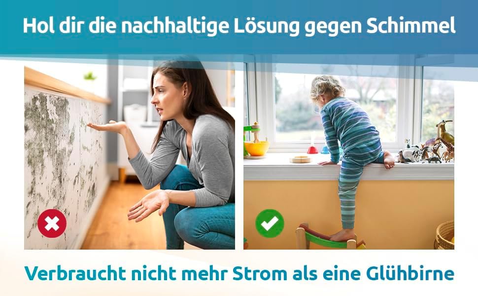 SCHIMMEL DRY-Set Basismodul M1 + Erweiterungsset M2 Schimmel Dry-Set