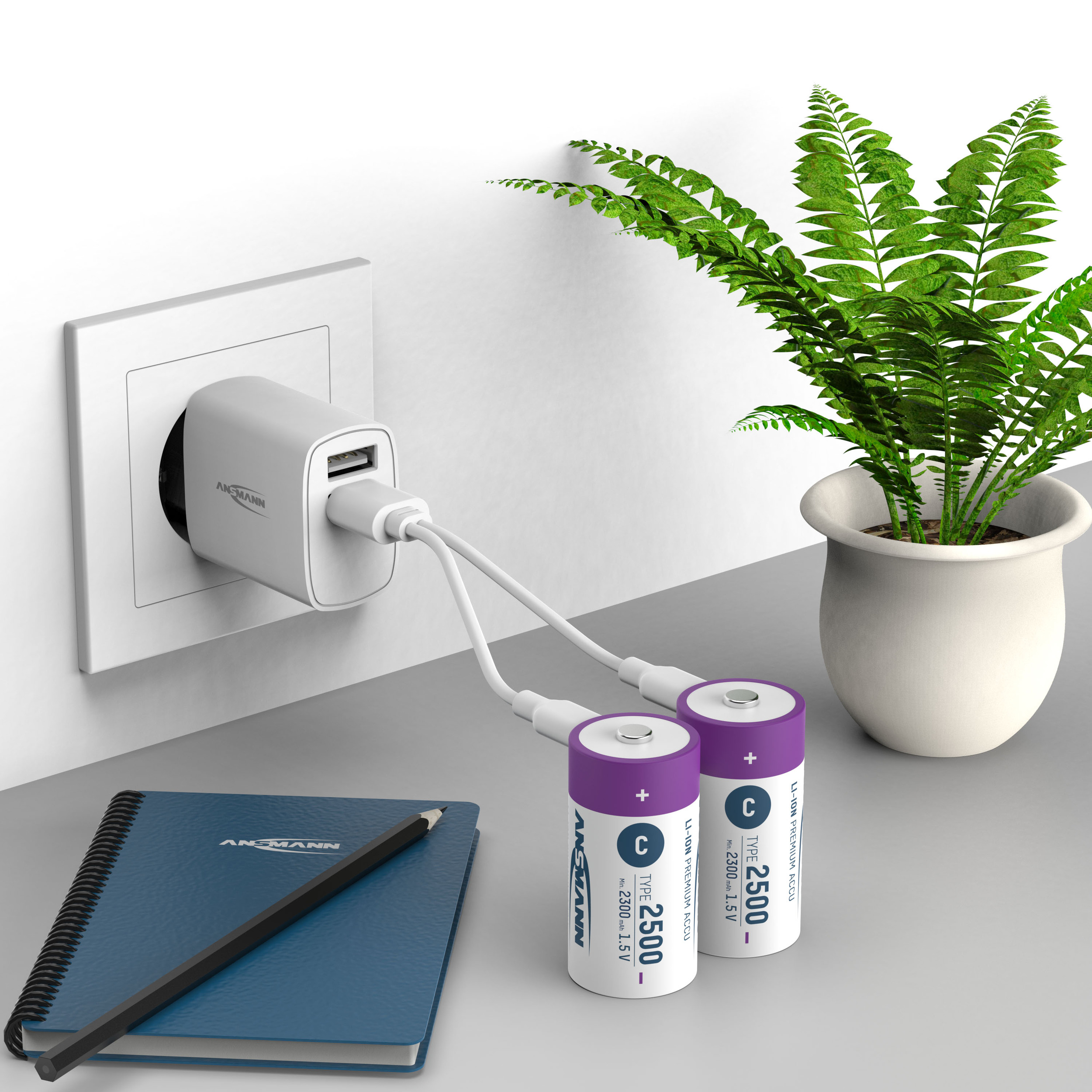 ANSMANN Li-Ion Baby-C-Akku, Typ 2500 (min. 2300mAh), 2 Stück ANSMANN Li-Ion Baby-C-Akku, Typ 2500 (min. 2300mAh), 2 Stück