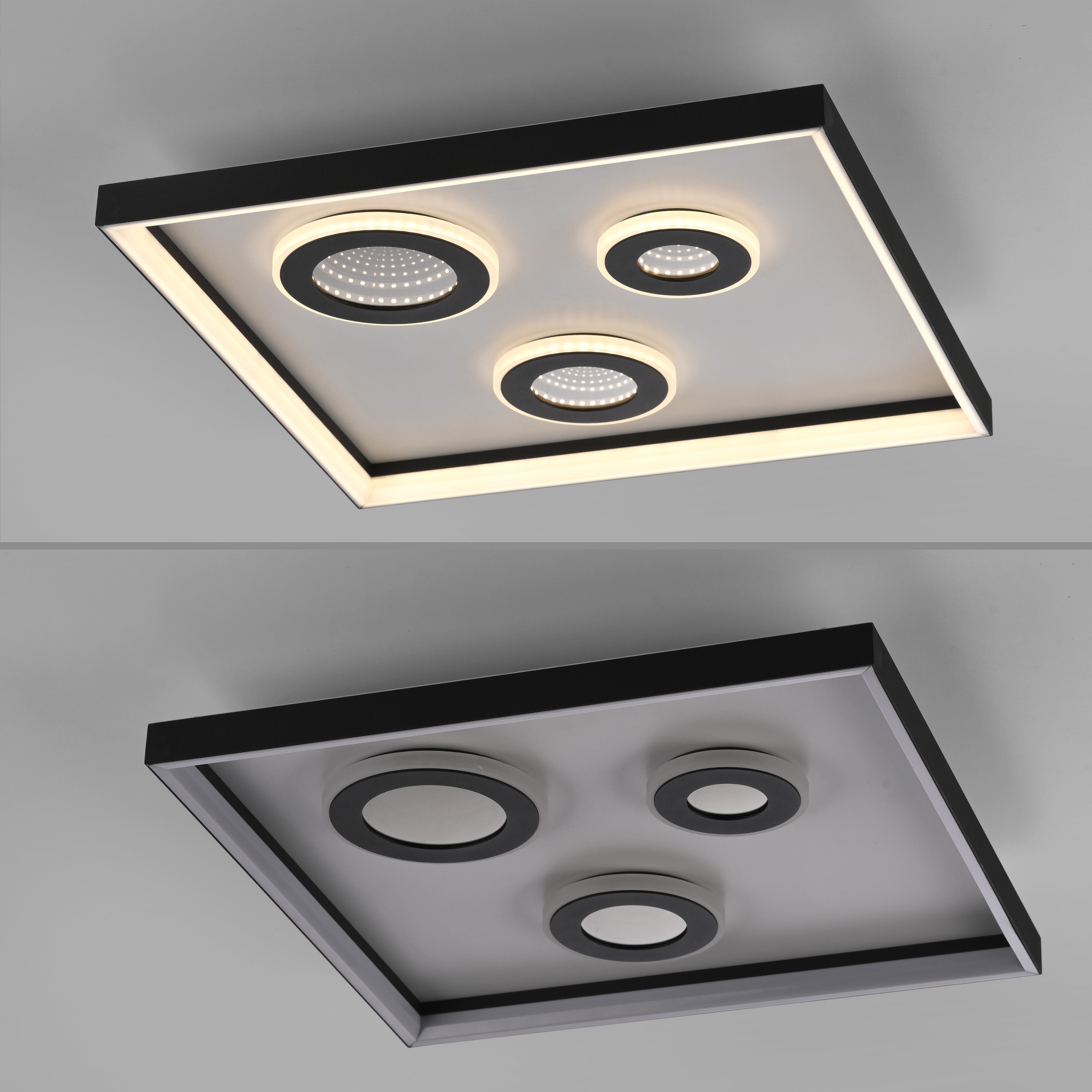 PAUL NEUHAUS LED-Deckenleuchte 6856-18 schwarz, 32 W, 4000 lm, CCT, Fernbedienung PAUL NEUHAUS LED-Deckenleuchte 6856-18 schwarz, 32 W, 4000 lm, CCT, Fernbedienung