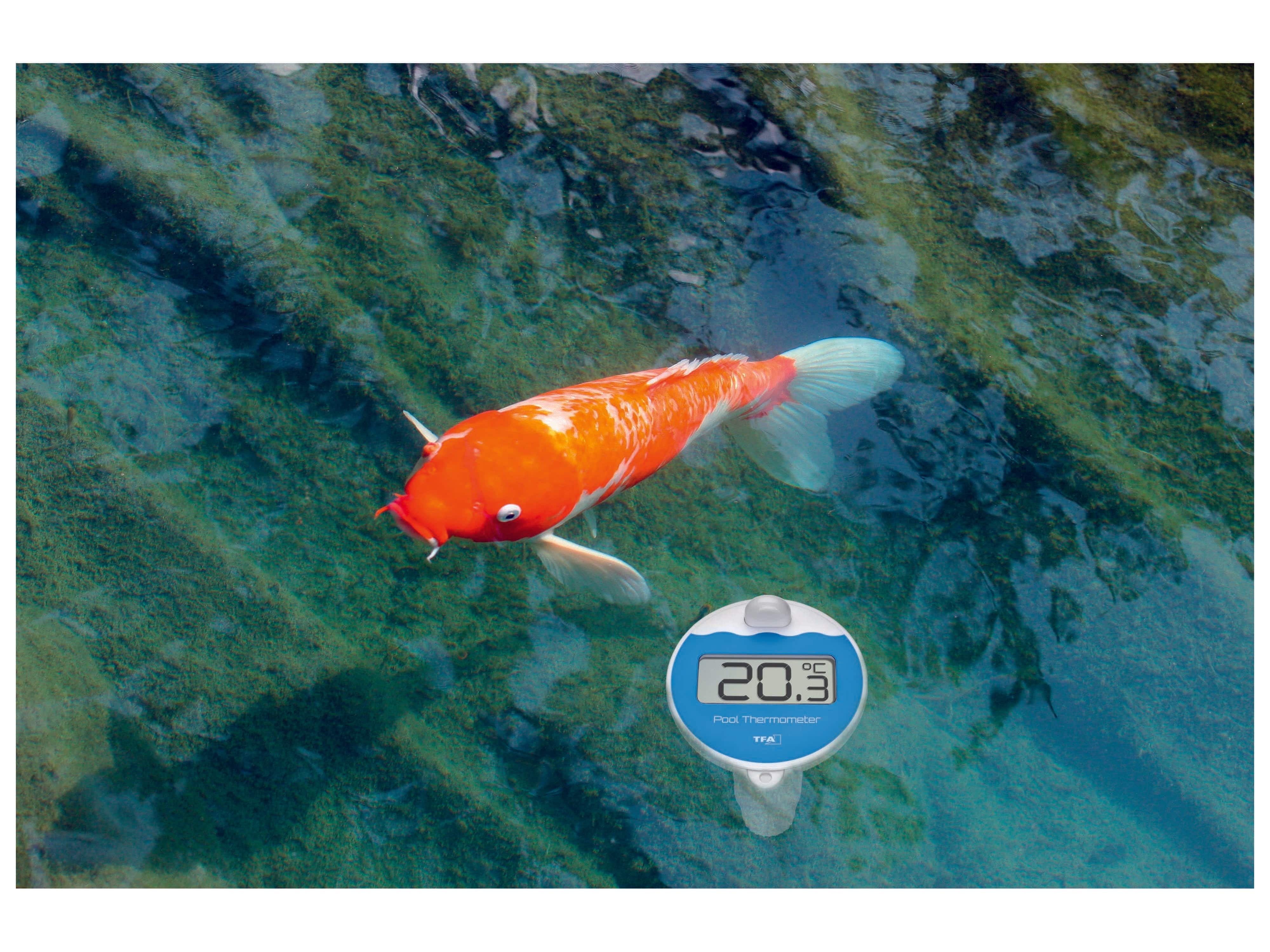 TFA Funk-Poolthermometer Marbella, 30.3066.01 TFA Funk-Poolthermometer Marbella, 30.3066.01