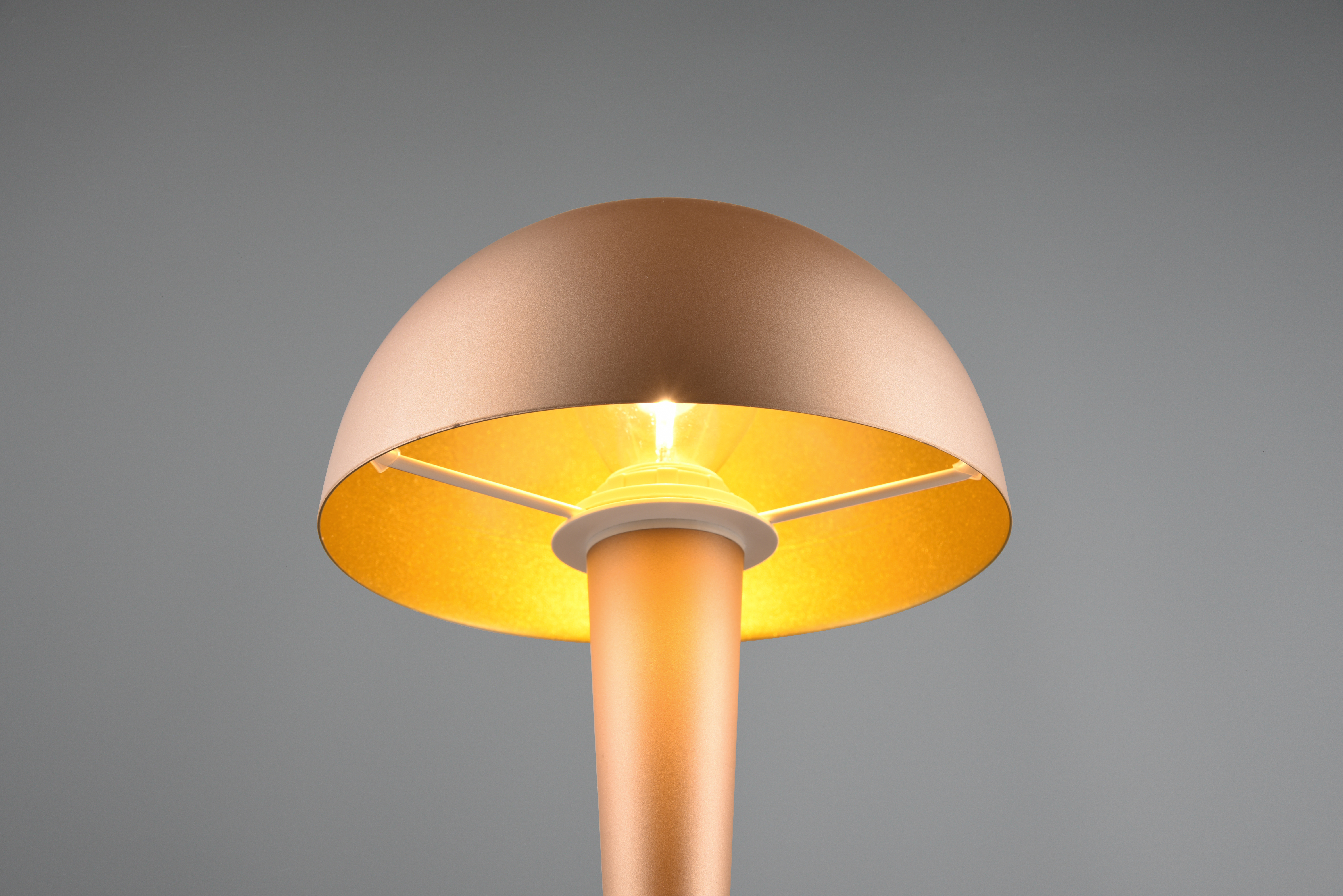 REALITY LED-Tischleuchte Canaria R59561165 coffee, E14, 4,9 W, 470 lm, 3000 K REALITY LED-Tischleuchte Canaria R59561165 coffee, E14, 4,9 W, 470 lm, 3000 K