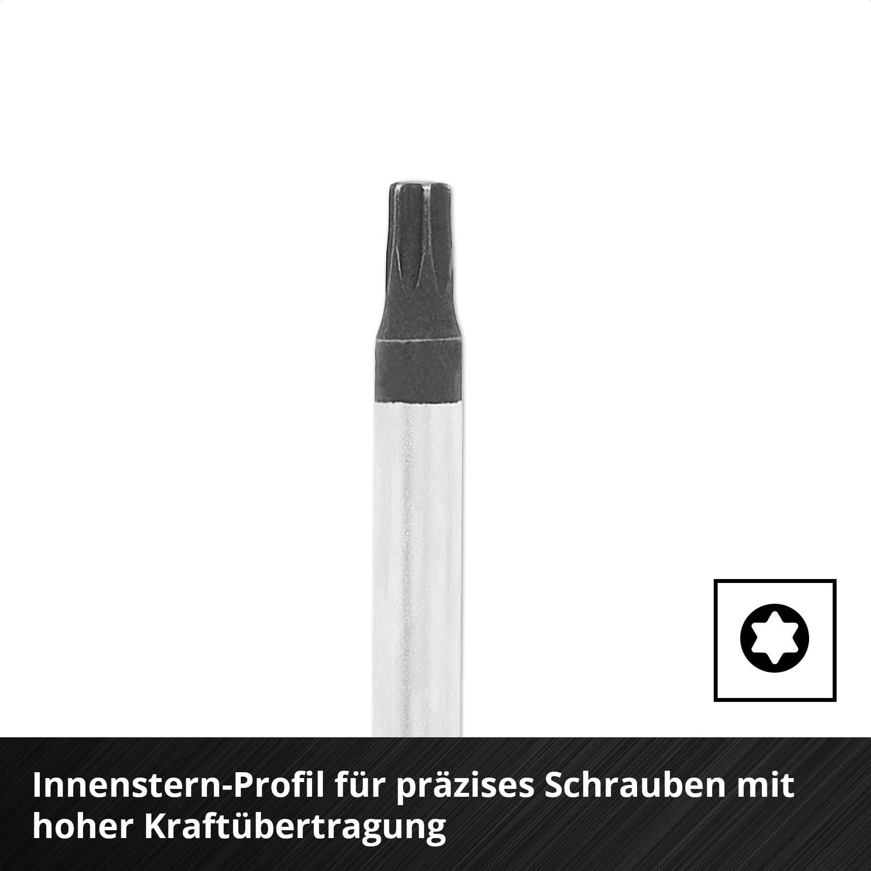 EINHELL E-Case-Einleger Schraubendreher, 370525, 17-teilig EINHELL E-Case-Einleger Schraubendreher, 370525, 17-teilig