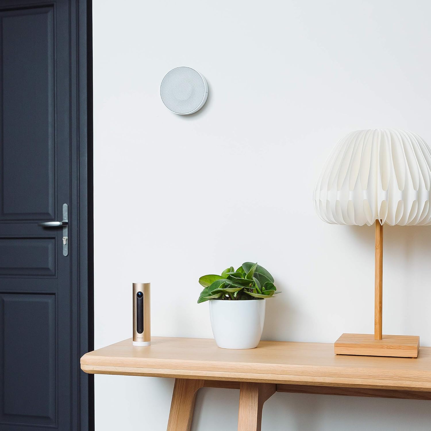 NETATMO Innen-Alarm NIS01-DE NETATMO Innen-Alarm NIS01-DE