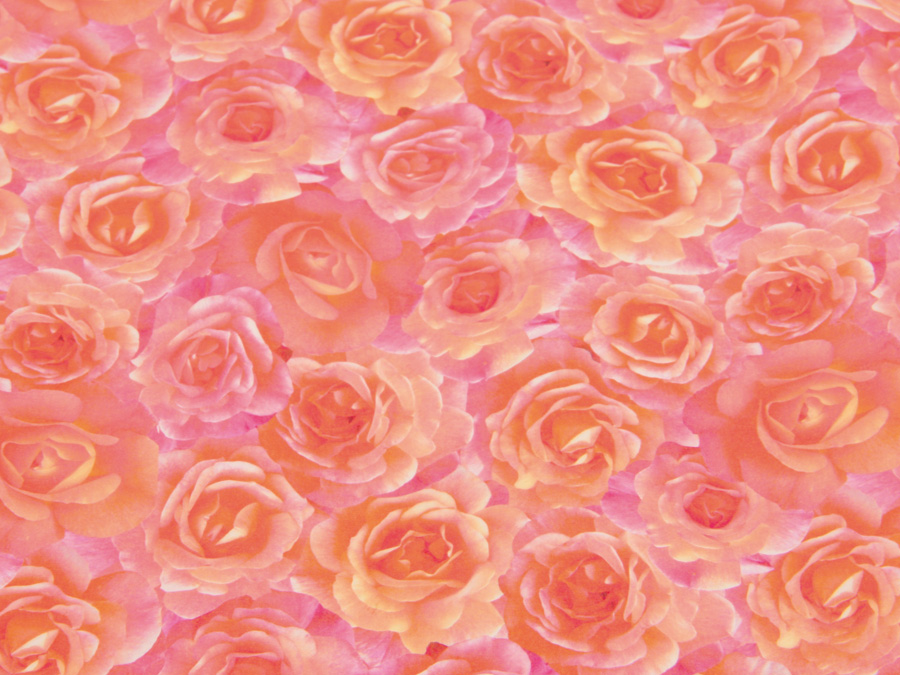 HEYDA Transparentpapier 20-4879451, Rosen lachs Transparentpapier HEYDA 20-4879451, Rosen lachs