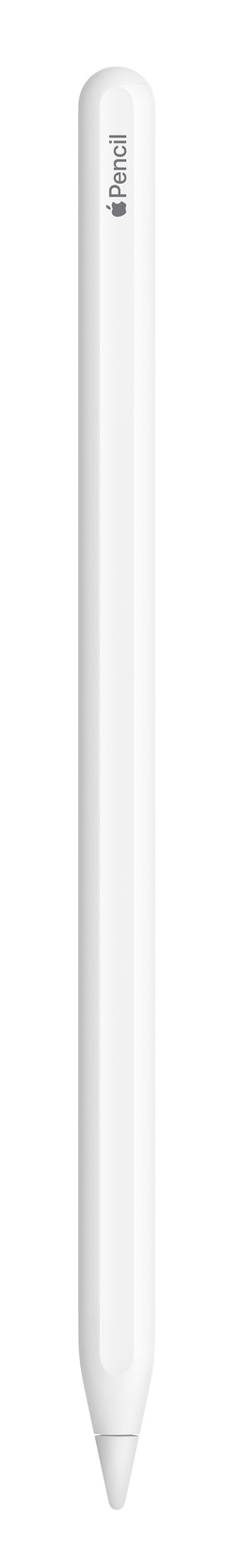 APPLE Eingabestift Pencil (2nd Generation), 18,2 g, Weiß, (Version 2024) APPLE Eingabestift Pencil (2nd Generation), 18,2 g, Weiß
