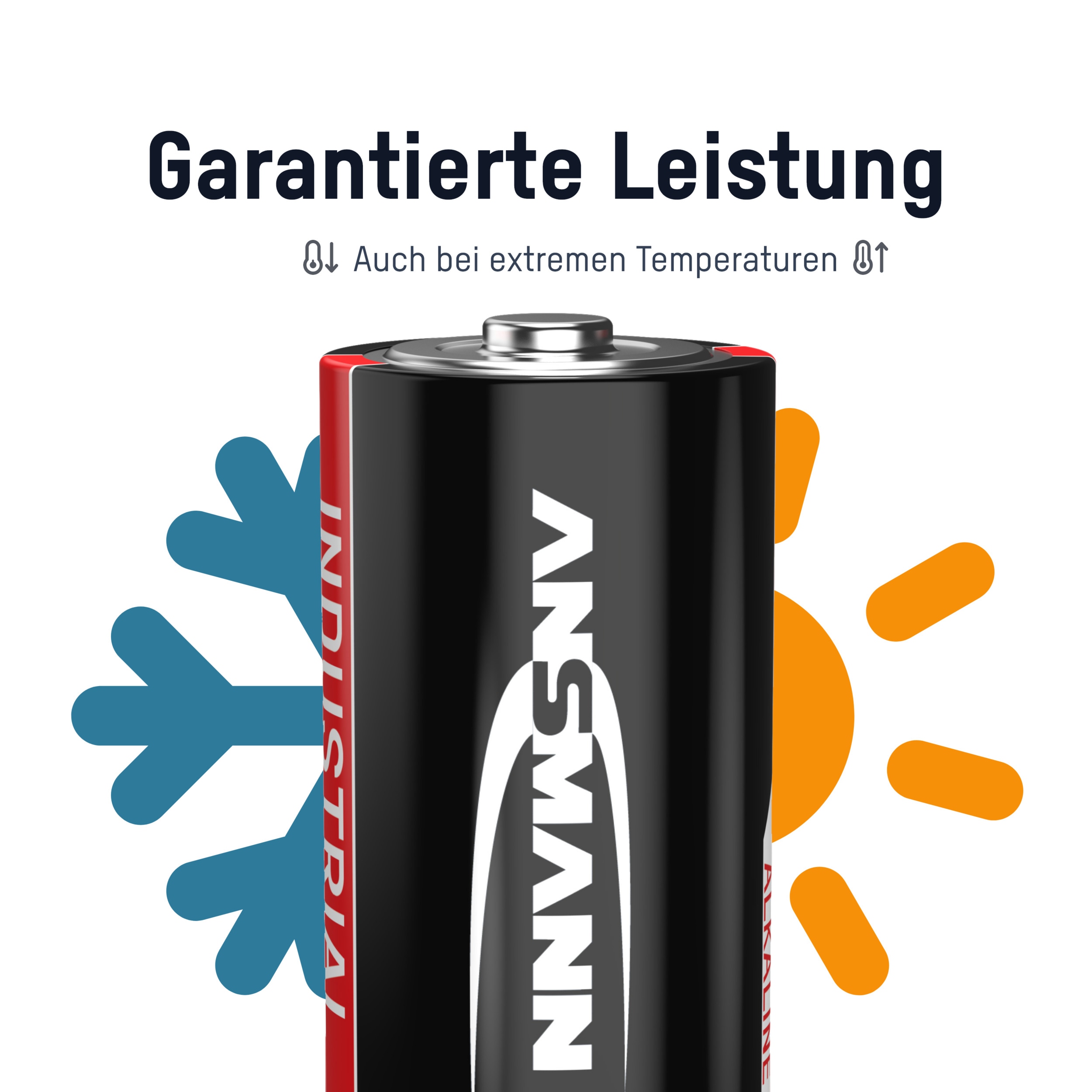 ANSMANN Alkaline Batterie Baby C / LR14, Industrial, 10 Stück