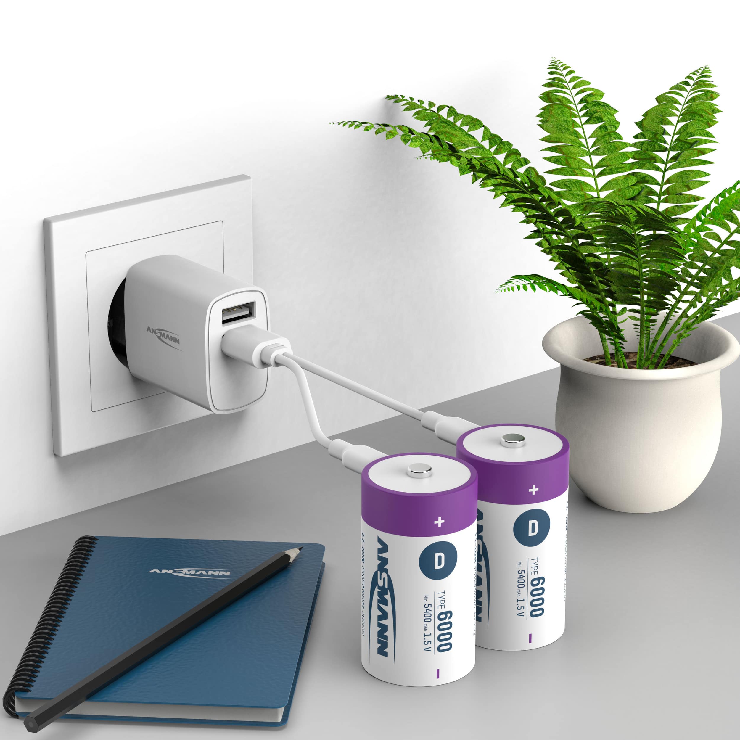 ANSMANN Li-Ion Mono-Akku, D, Typ 6000 (min. 5400mAh), 2 Stück ANSMANN Li-Ion Mono-Akku, D, Typ 6000 (min. 5400mAh), 2 Stück