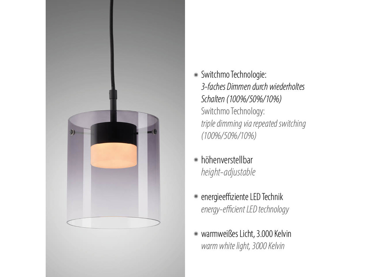 JUST LIGHT LED-Pendelleuchte 14042-18, 7,5W, 800lm, 3000K, schwarz JUST LIGHT LED-Pendelleuchte 14042-18, 7,5W, 800lm, 3000K, schwarz