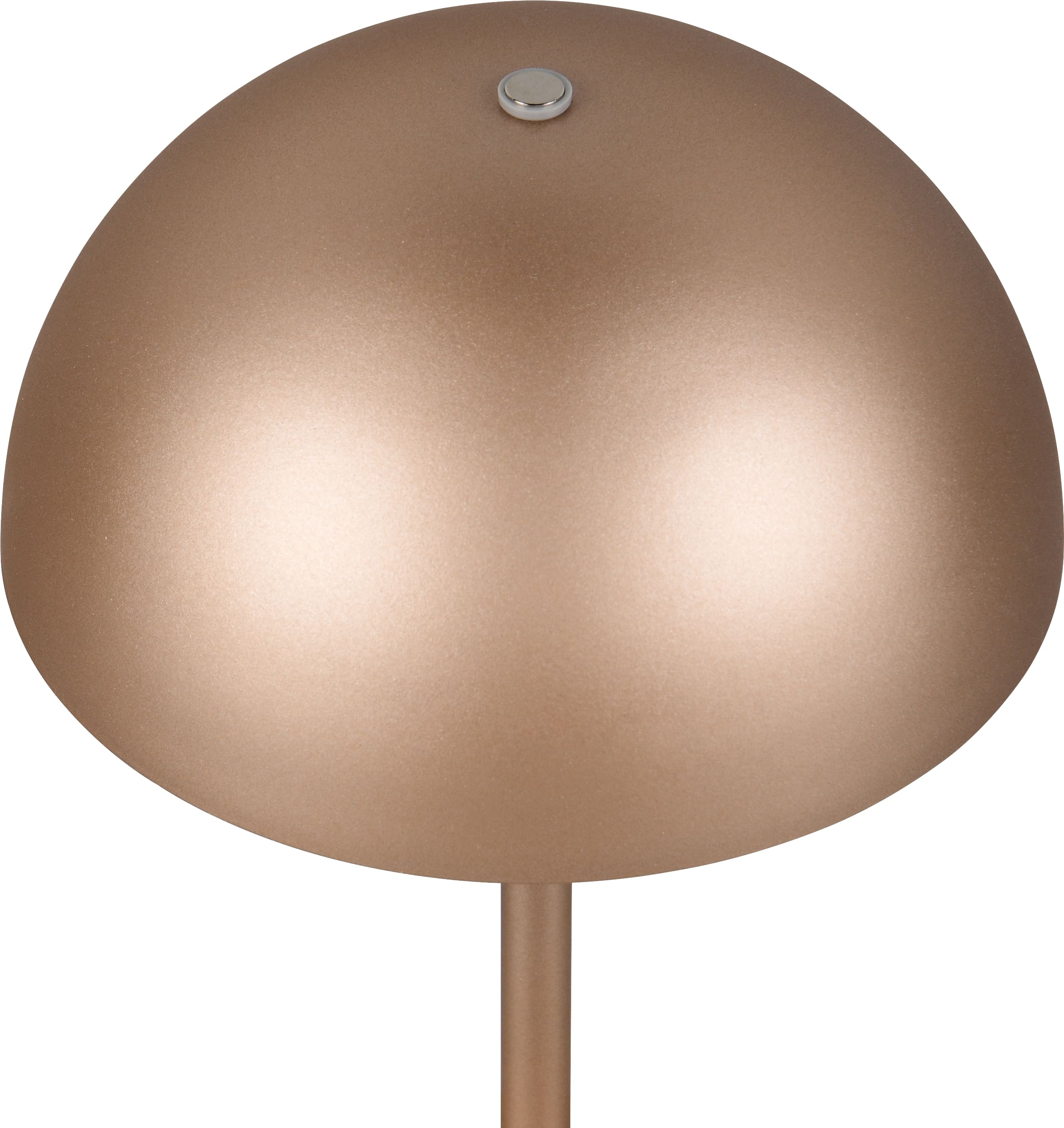 REALITY LED-Akku-Tischleuchte MUNOZ, R54891165, 1,3W, 120lm, 3000K, coffee REALITY LED-Akku-Tischleuchte MUNOZ, R54891165, 1,3W, 120lm, 3000K, coffee