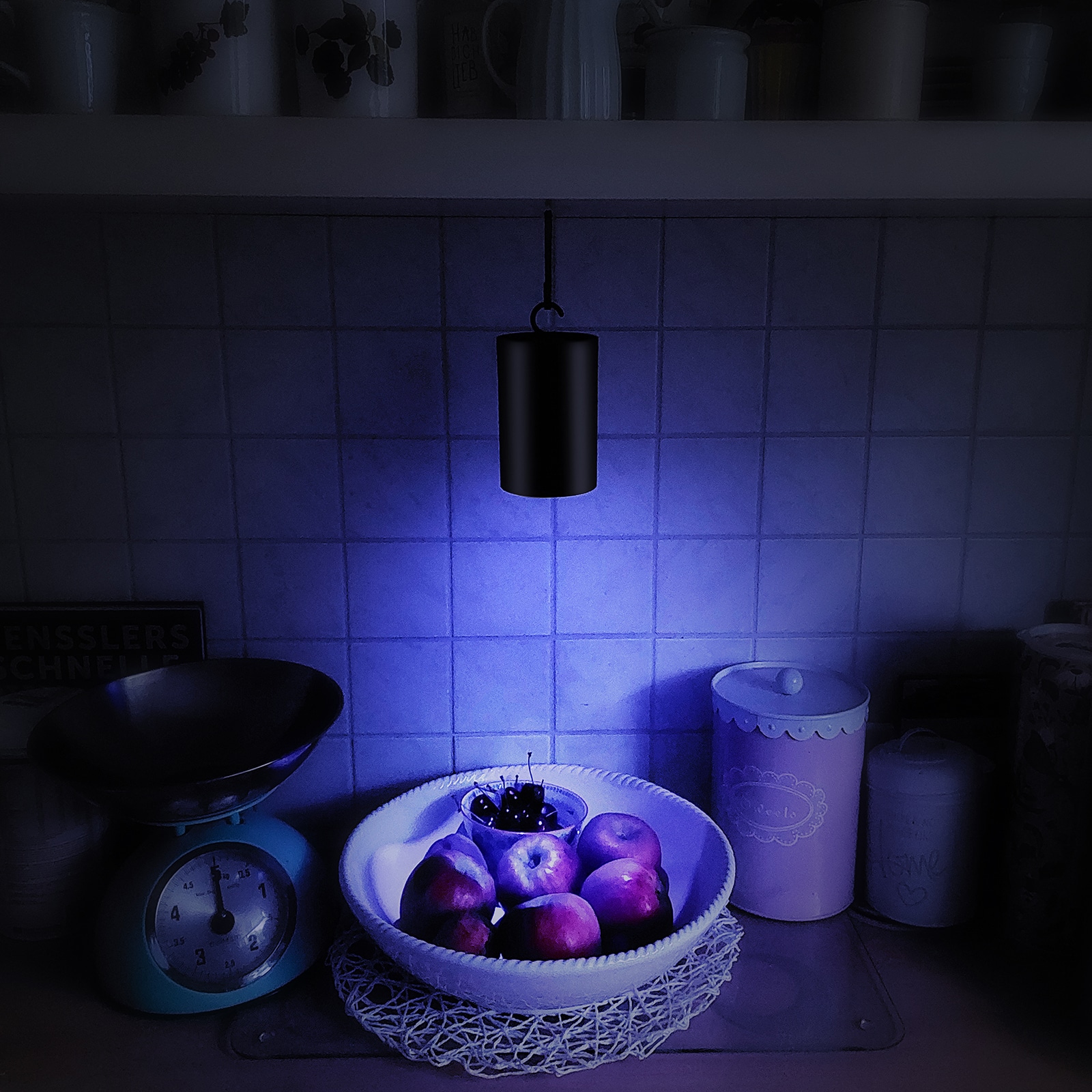 GARDIGO LED Insekten-Klebefalle 62420DEFR GARDIGO LED Insekten-Klebefalle 62420DEFR
