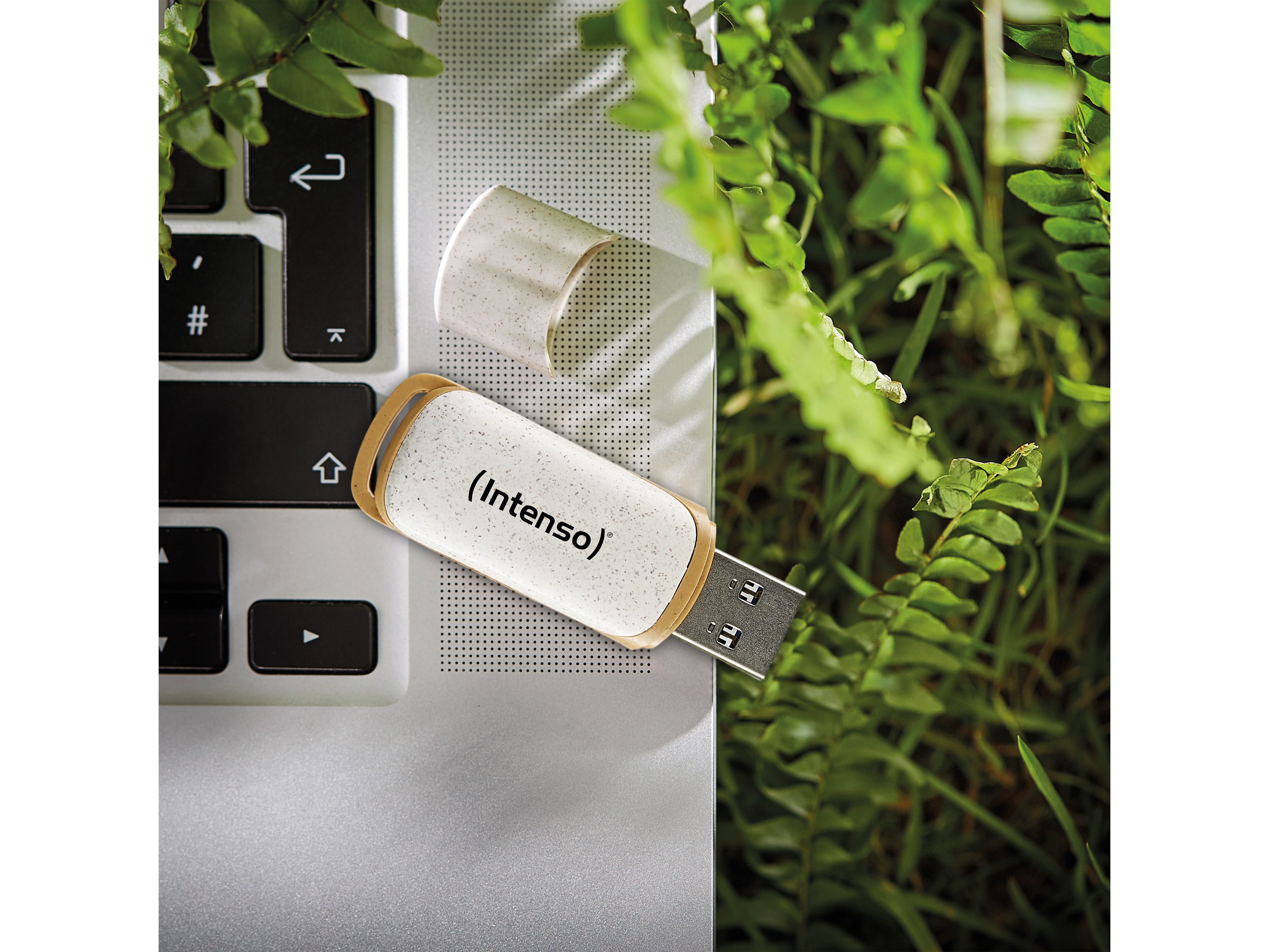 INTENSO USB 3.2-Stick INTENSO Green Line, 64 GB, beige/braun