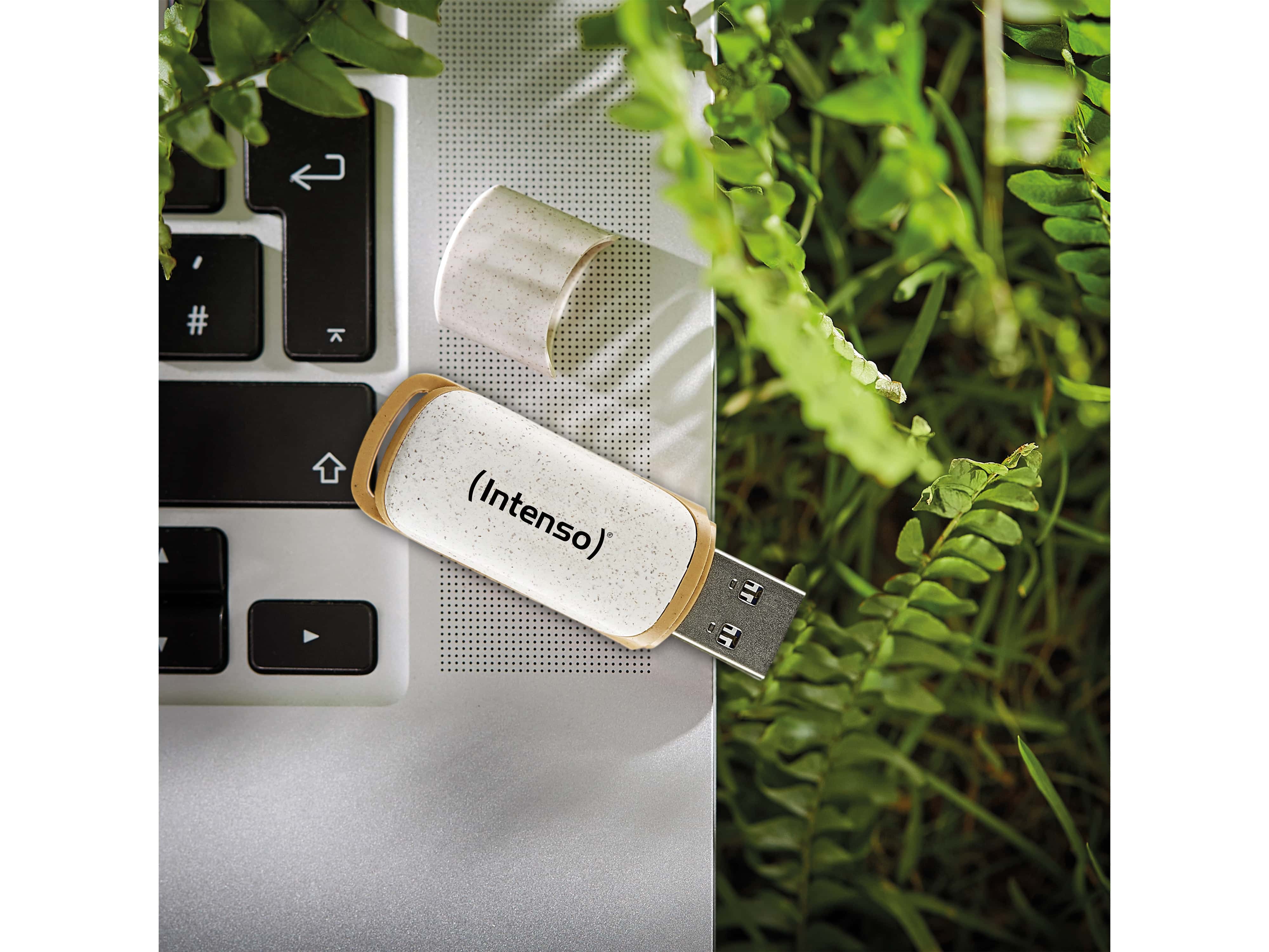 INTENSO USB-Stick Green Line 3540490 USB 3.2 64GB INTENSO USB 3.2-Stick INTENSO Green Line, 64 GB, beige/braun