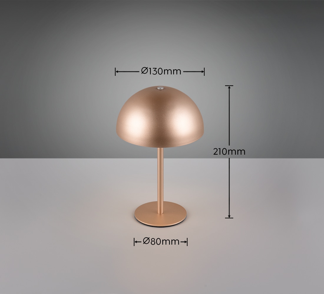 REALITY LED-Akku-Tischleuchte MUNOZ, R54891165, 1,3W, 120lm, 3000K, coffee REALITY LED-Akku-Tischleuchte MUNOZ, R54891165, 1,3W, 120lm, 3000K, coffee