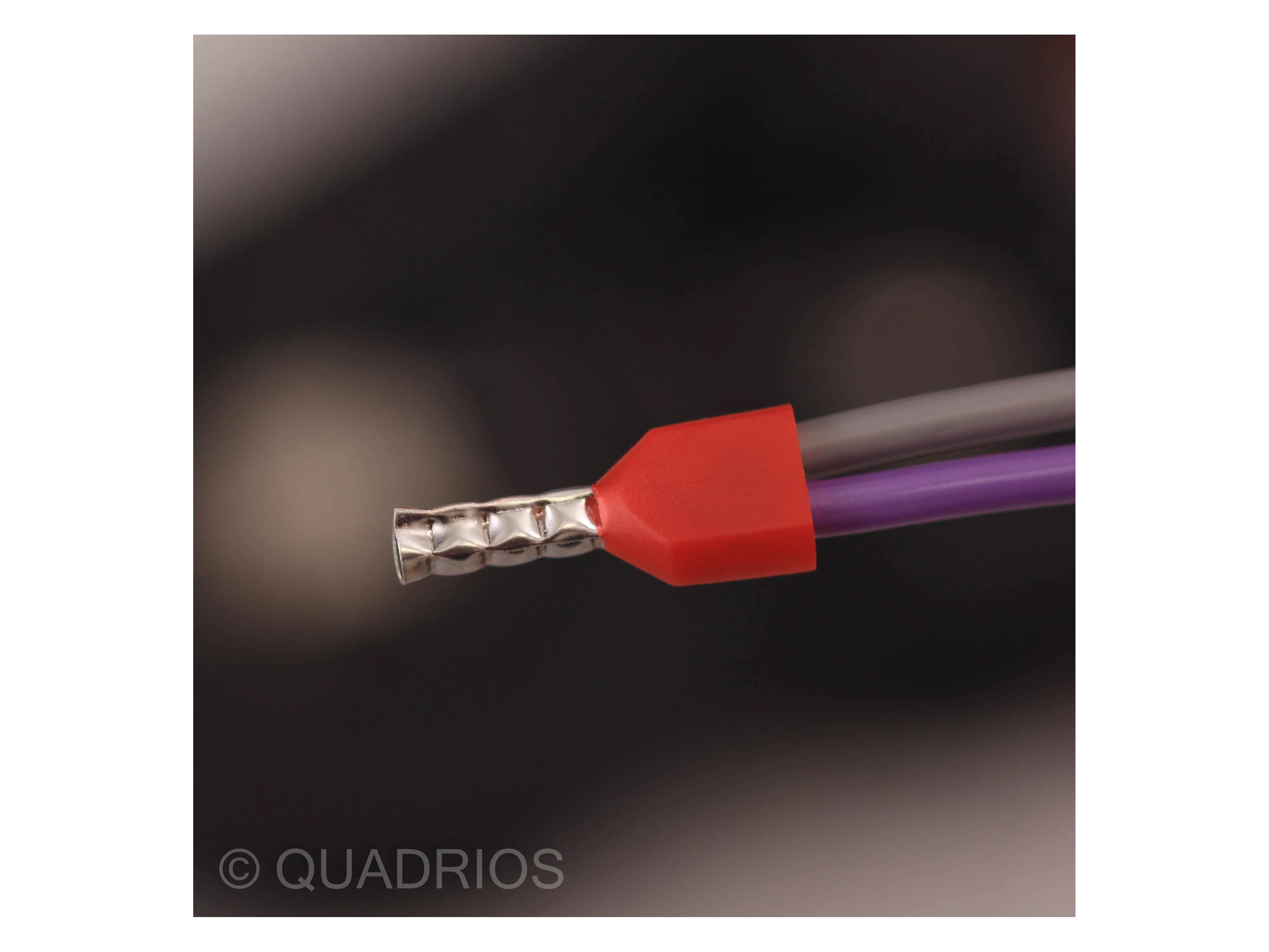 QUADRIOS Duo-Aderendhülsen-Set 2010C390, 0,75-2,5 mm², Teilisoliert, 90 Stück QUADRIOS Duo-Aderendhülsen-Set, 2010C390, 0,75-2,5 mm², Teilisoliert, 90 St.