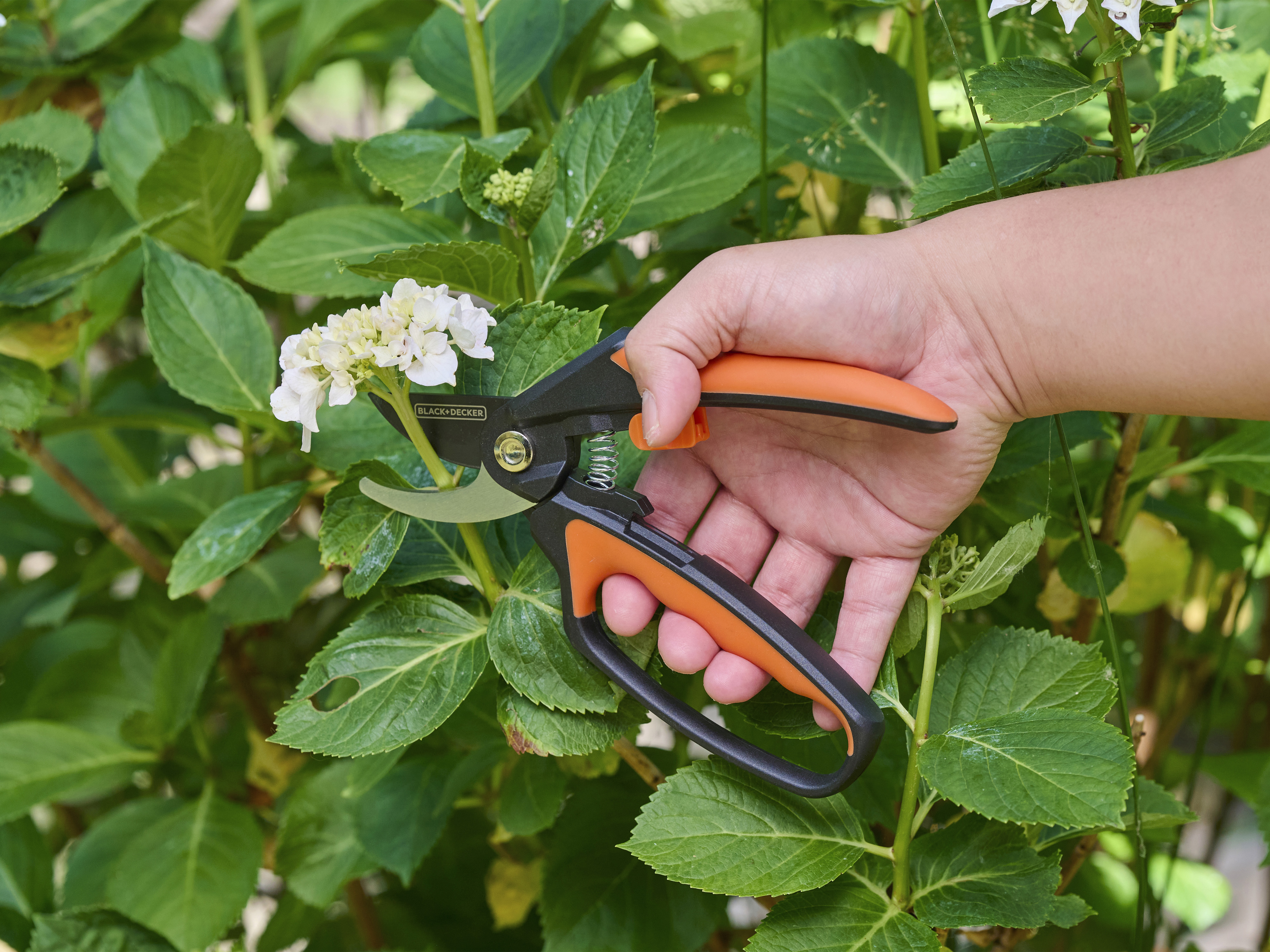 BLACK & DECKER Bypass Gartenschere BLACK & DECKER Bypass Gartenschere