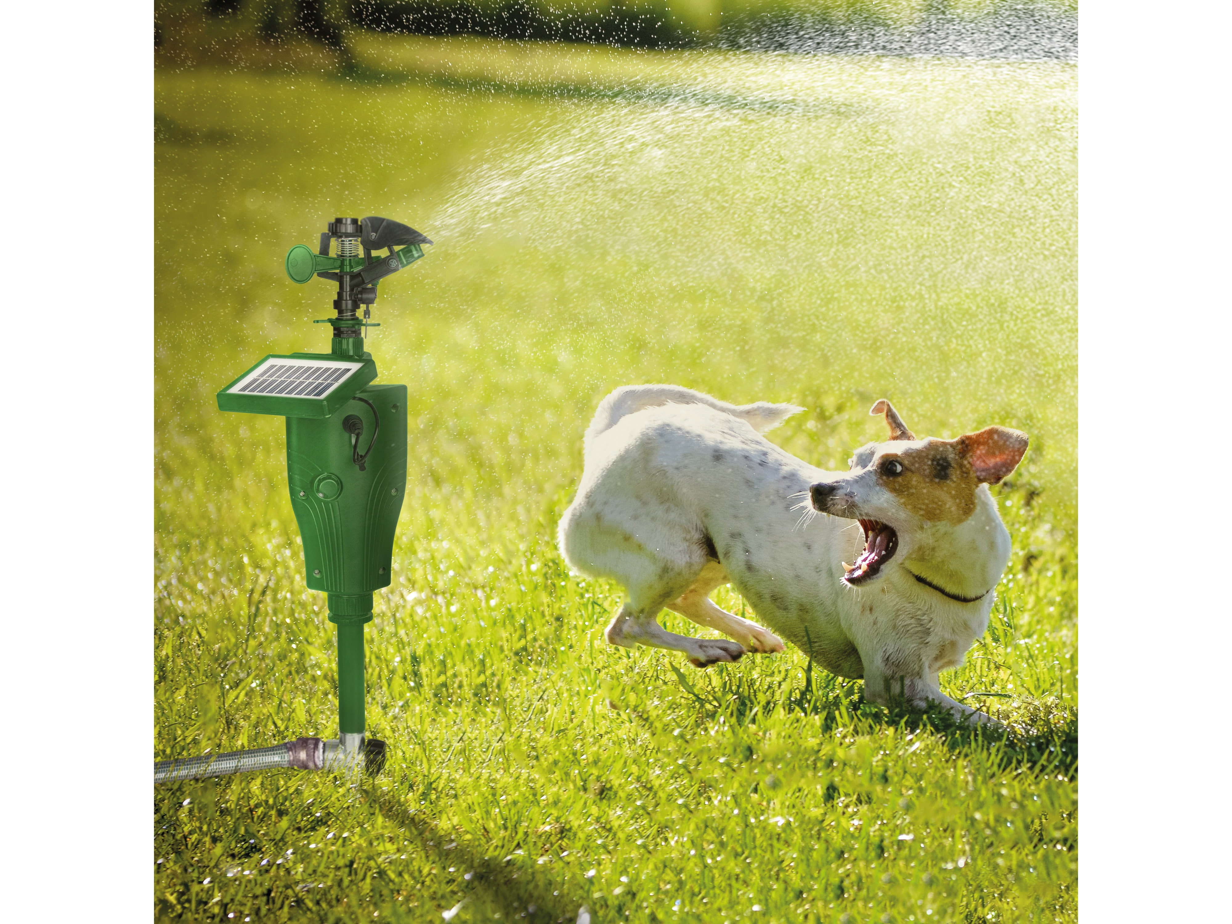 GARDIGO Solar Wasser-Tierabwehr 60085 GARDIGO Solar Wasser-Tierabwehr 60085