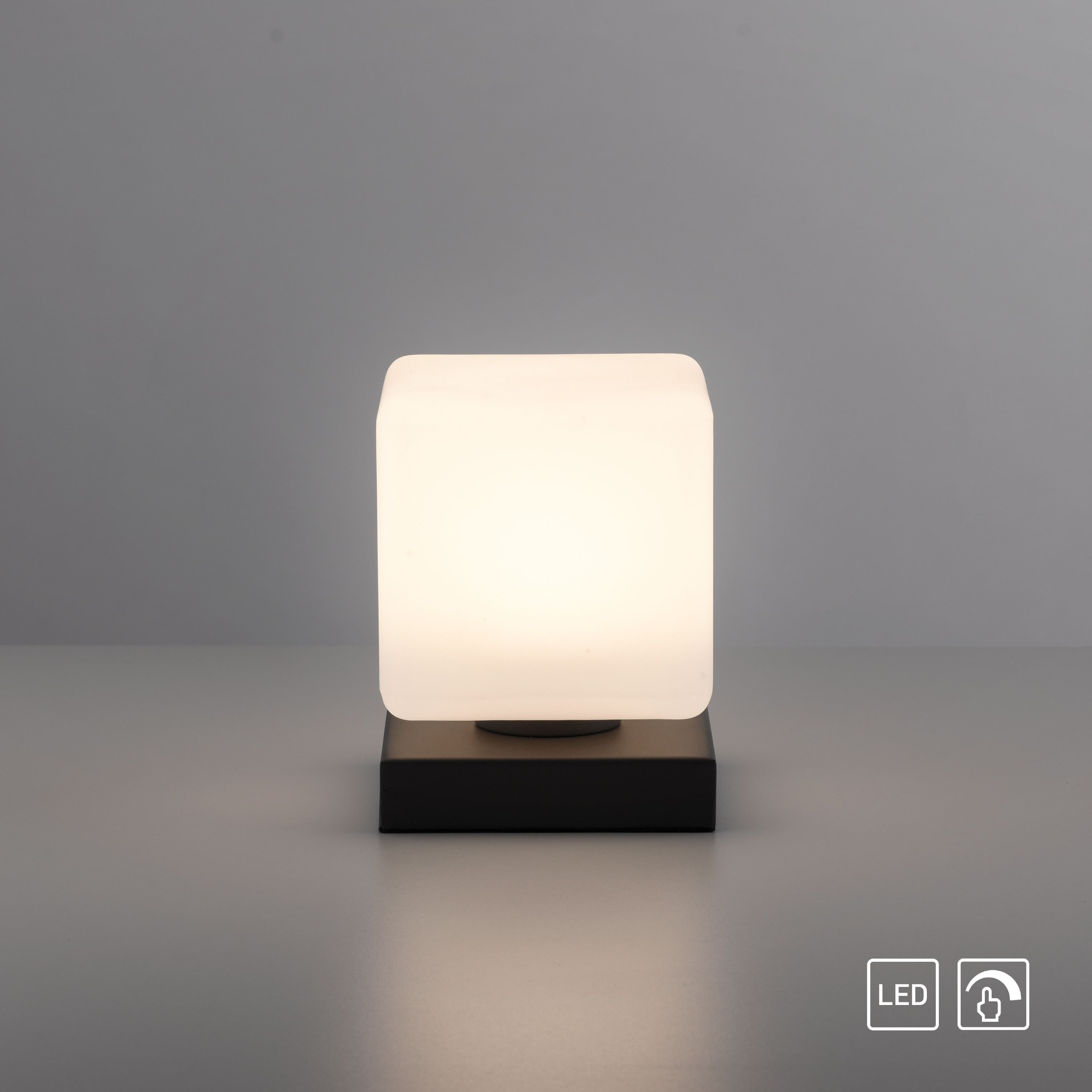 PAUL NEUHAUS LED-Tischleuchte 4036-13 anthrazit, 5 W, 580 lm, 3000 K PAUL NEUHAUS LED-Tischleuchte 4036-13 anthrazit, 5 W, 580 lm, 3000 K