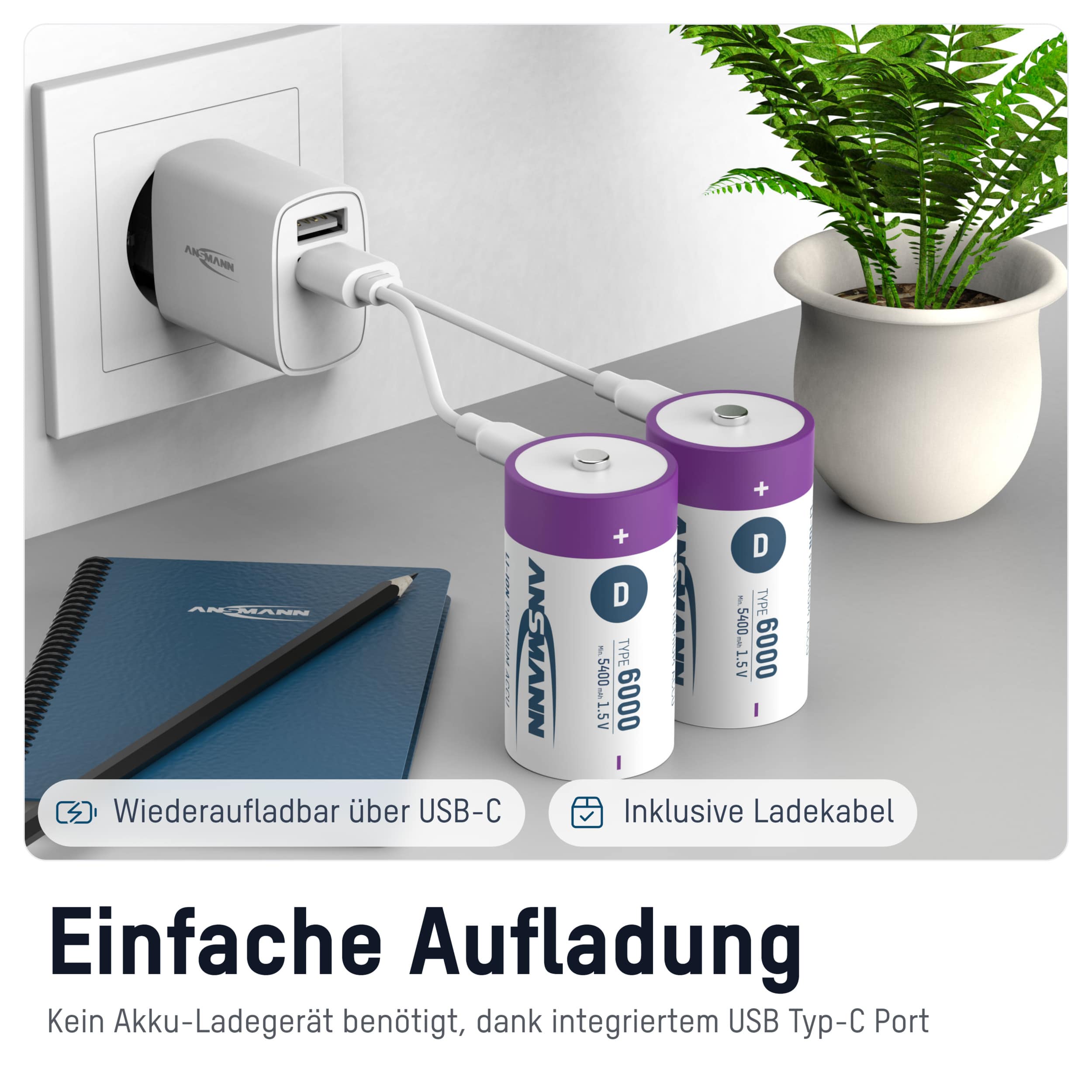 ANSMANN Li-Ion Mono-Akku, D, Typ 6000 (min. 5400mAh), 2 Stück ANSMANN Li-Ion Mono-Akku, D, Typ 6000 (min. 5400mAh), 2 Stück