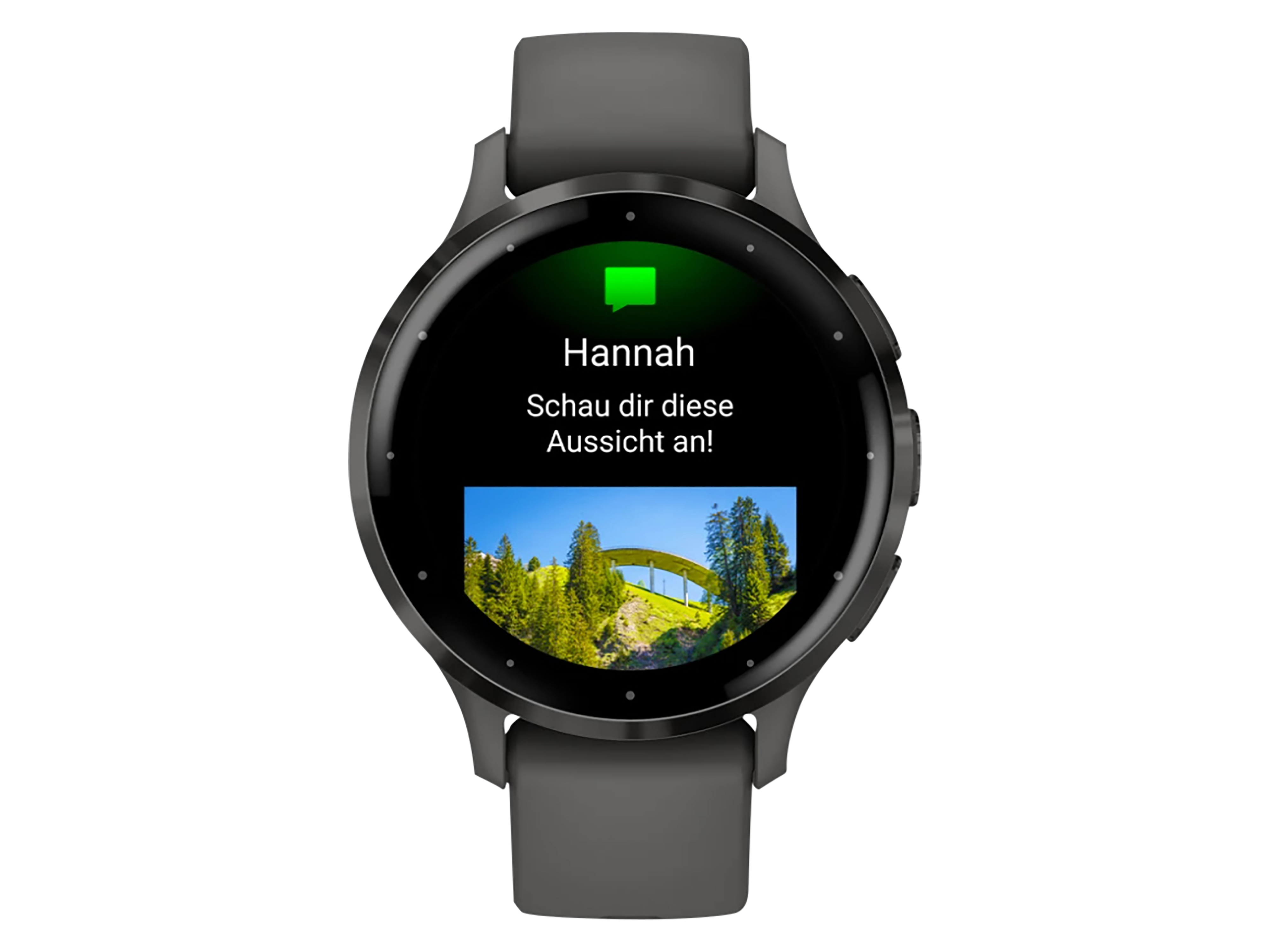GARMIN Smartwatch Venu 3S kieselgrau/schiefergrau Silikon GARMIN Smartwatch Venu 3S kieselgrau/schiefergrau Silikon