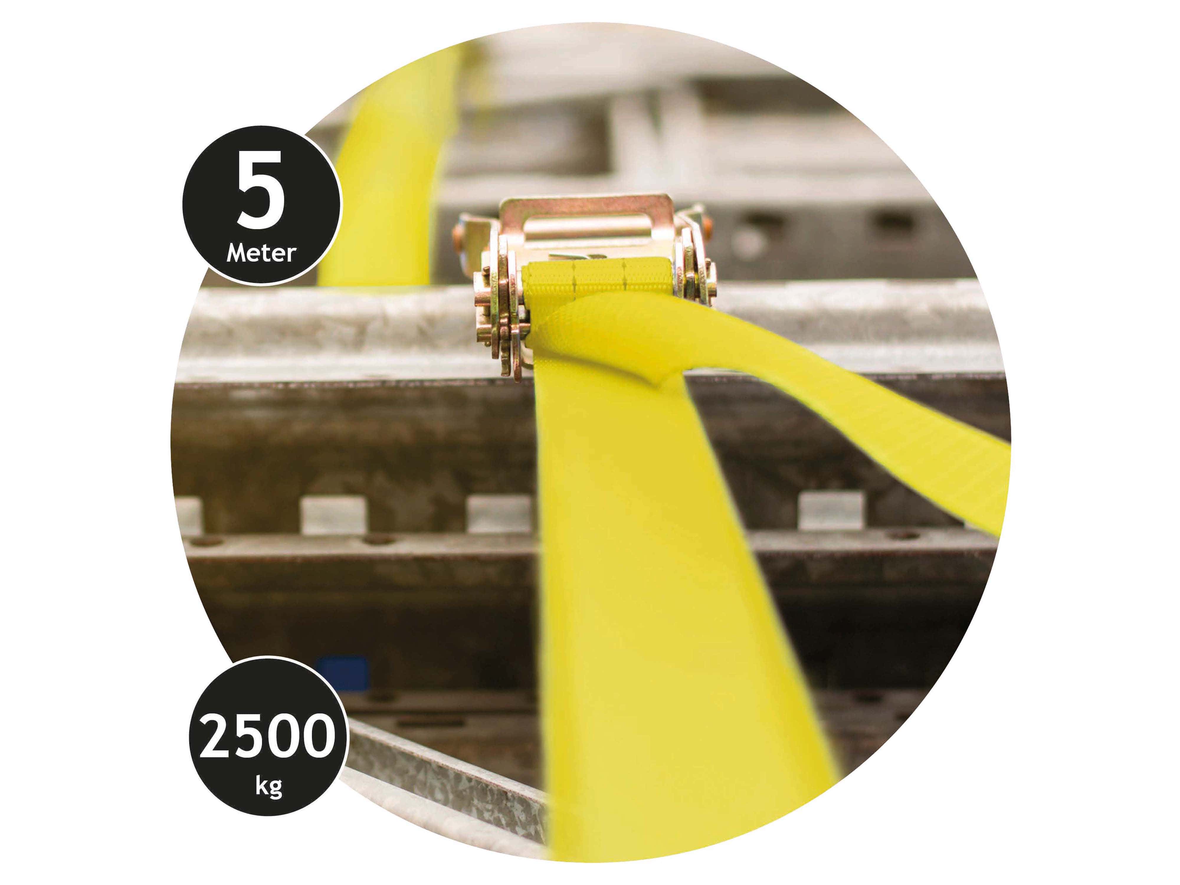 DUNLOP Spanngurt mit Ratschenschloss, 2500 kg, 5 m DUNLOP Spanngurt mit Ratschenschloss, 2500 kg, 5 m